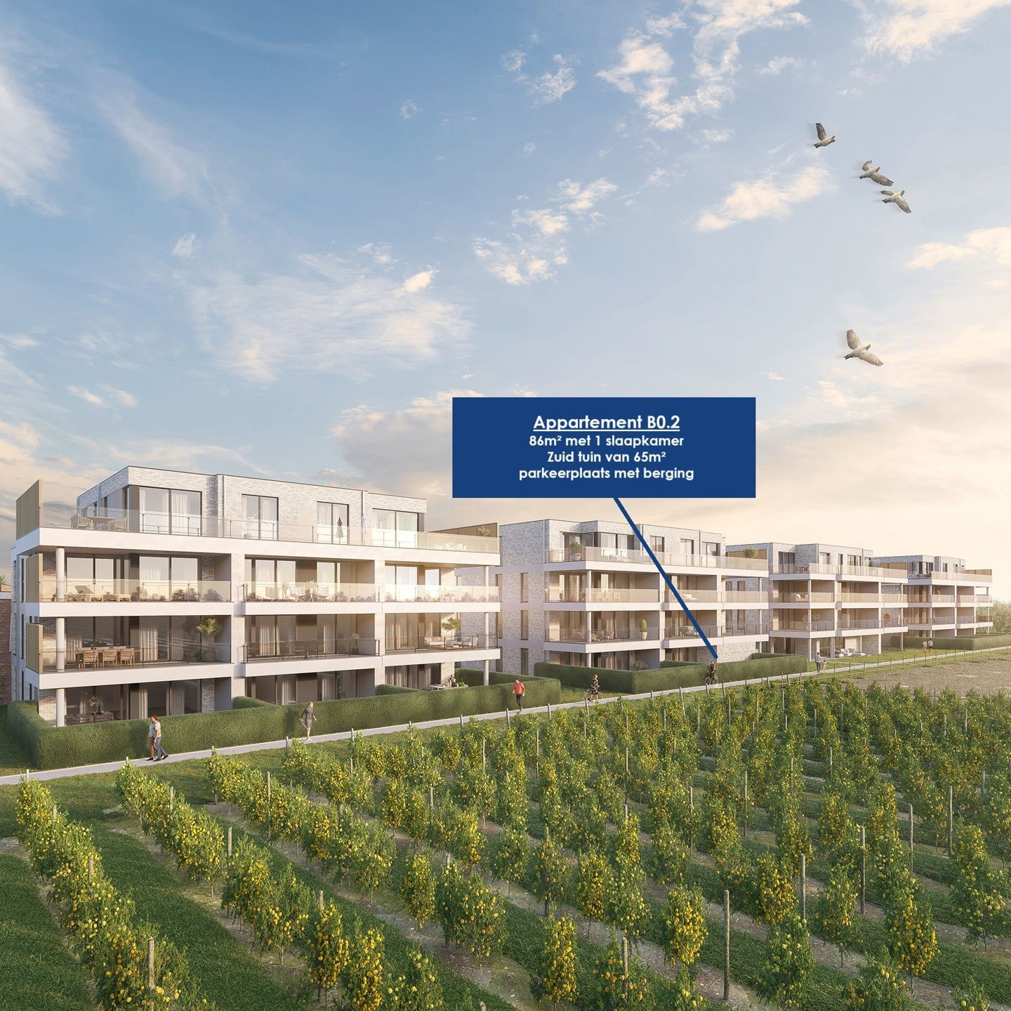 Laatste appartement met zuidtuin aan de boomgaarden!  foto {{pictureIndex}}