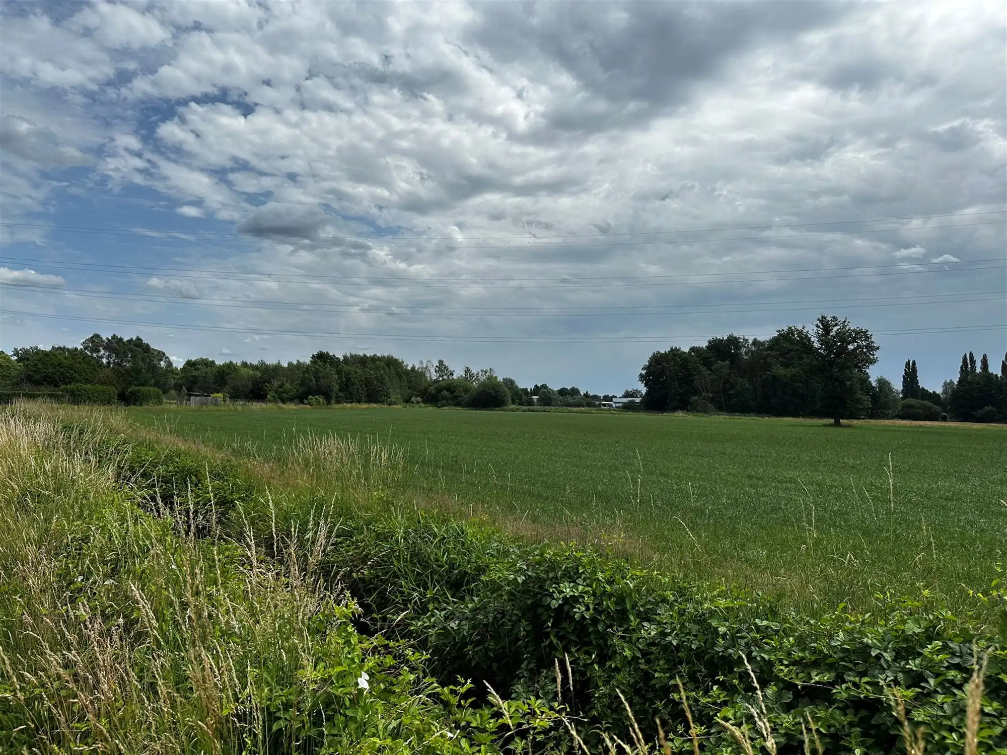 PERCEEL WEILAND VAN 7800M² GELEGEN AAN DE GORENSTRAAT TE PAAL foto 3