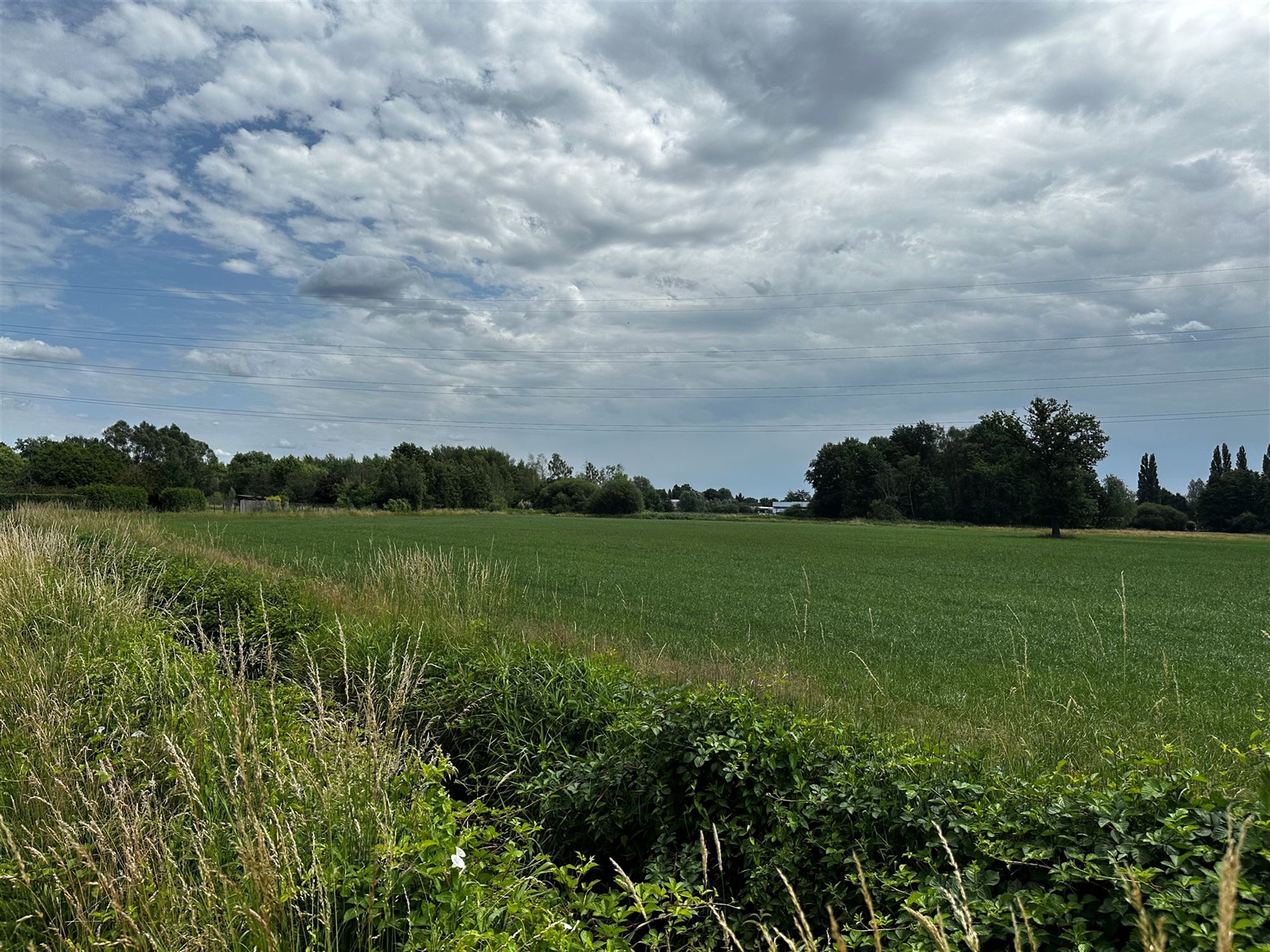 PERCEEL WEILAND VAN 7800M² GELEGEN AAN DE GORENSTRAAT TE PAAL foto 3