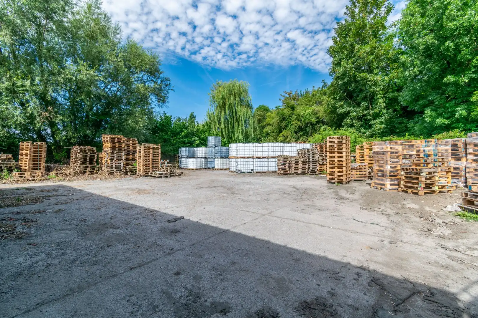 ZEER RUIME LOODS (3000m²) + WONING/BUREEL ! foto 8