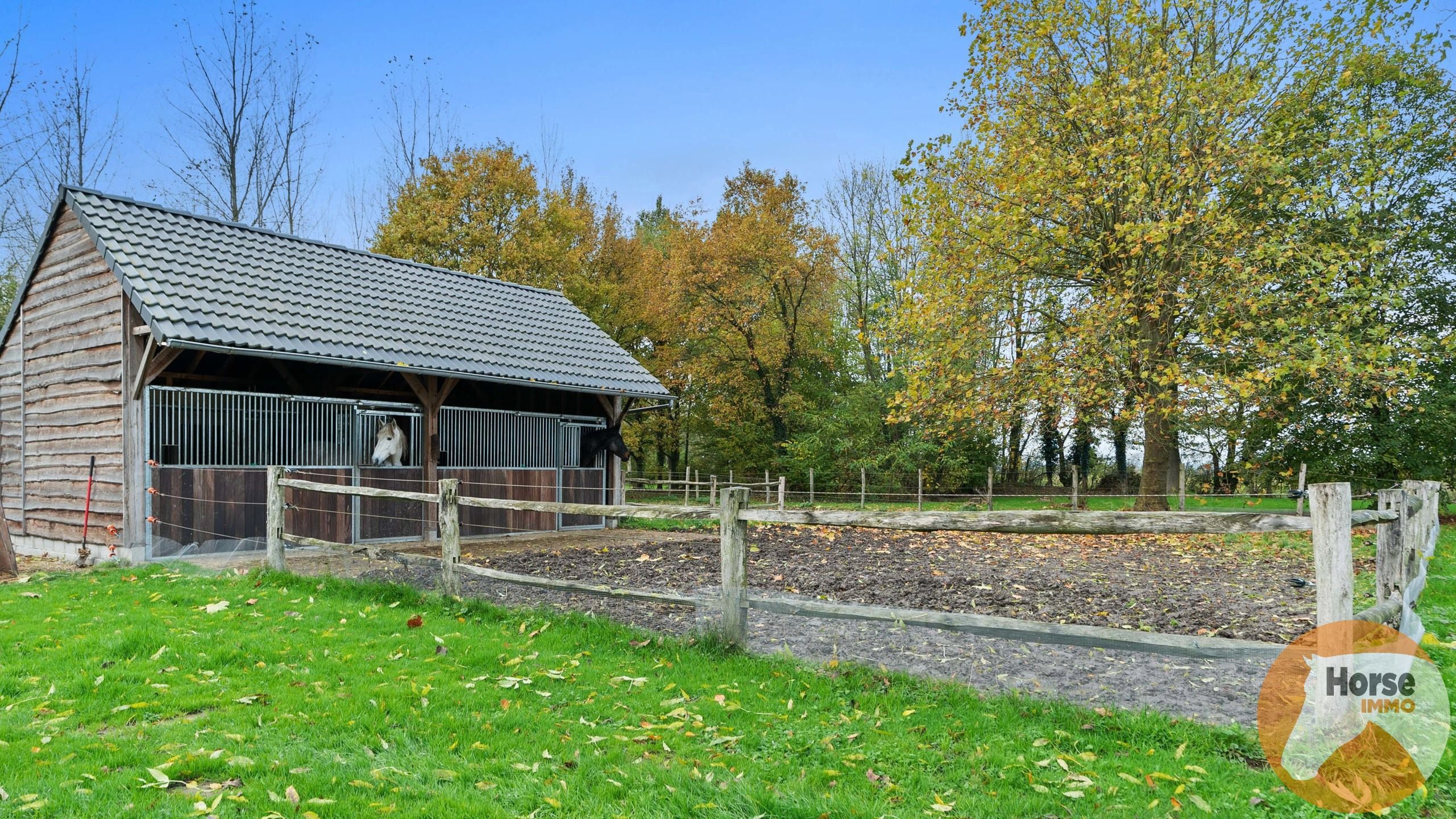 RUMMEN - Charmant landhuis op idyllische locatie op 1ha54 foto 39