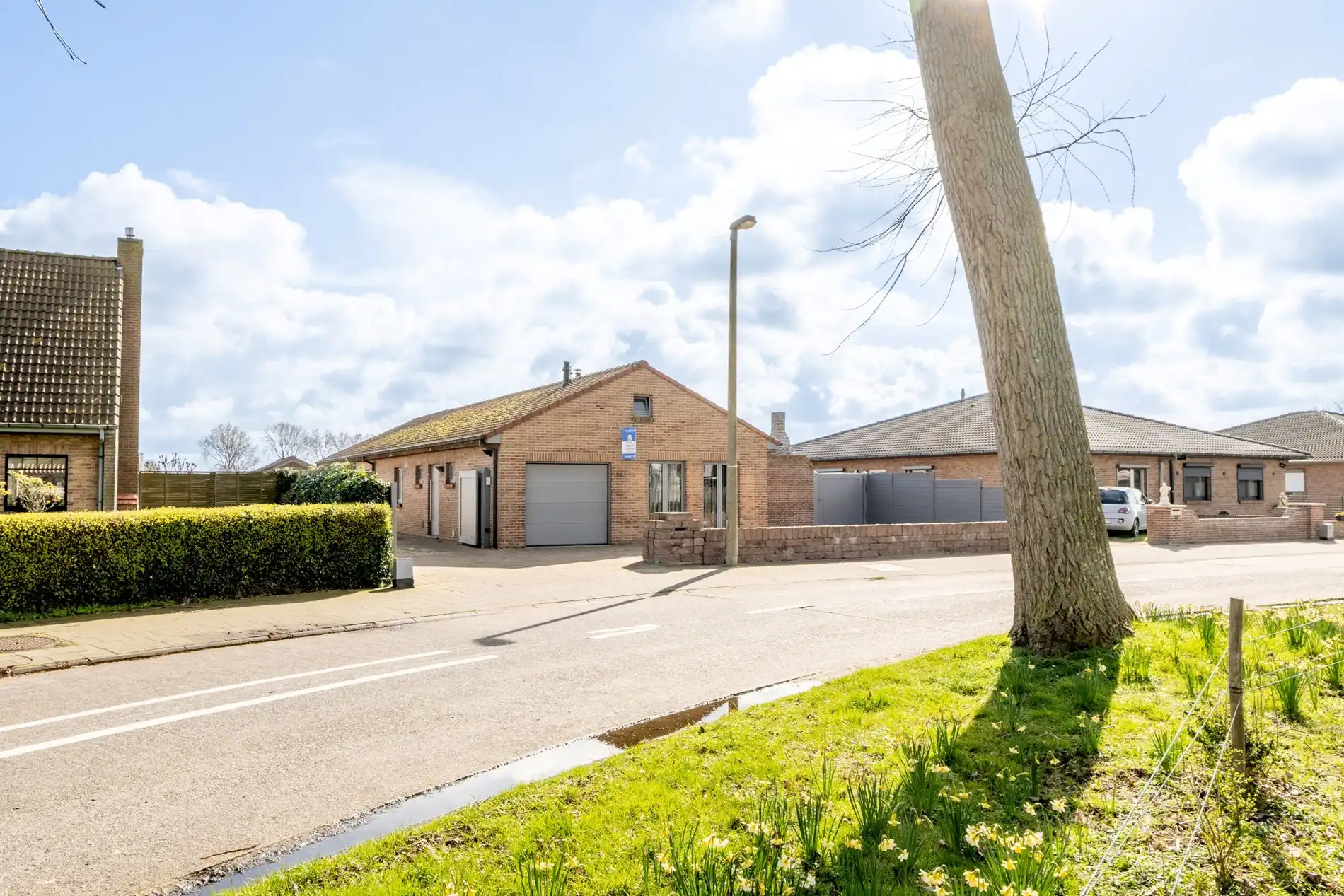 Rustig gelegen bungalow op 10 minuten van Brugge foto 2
