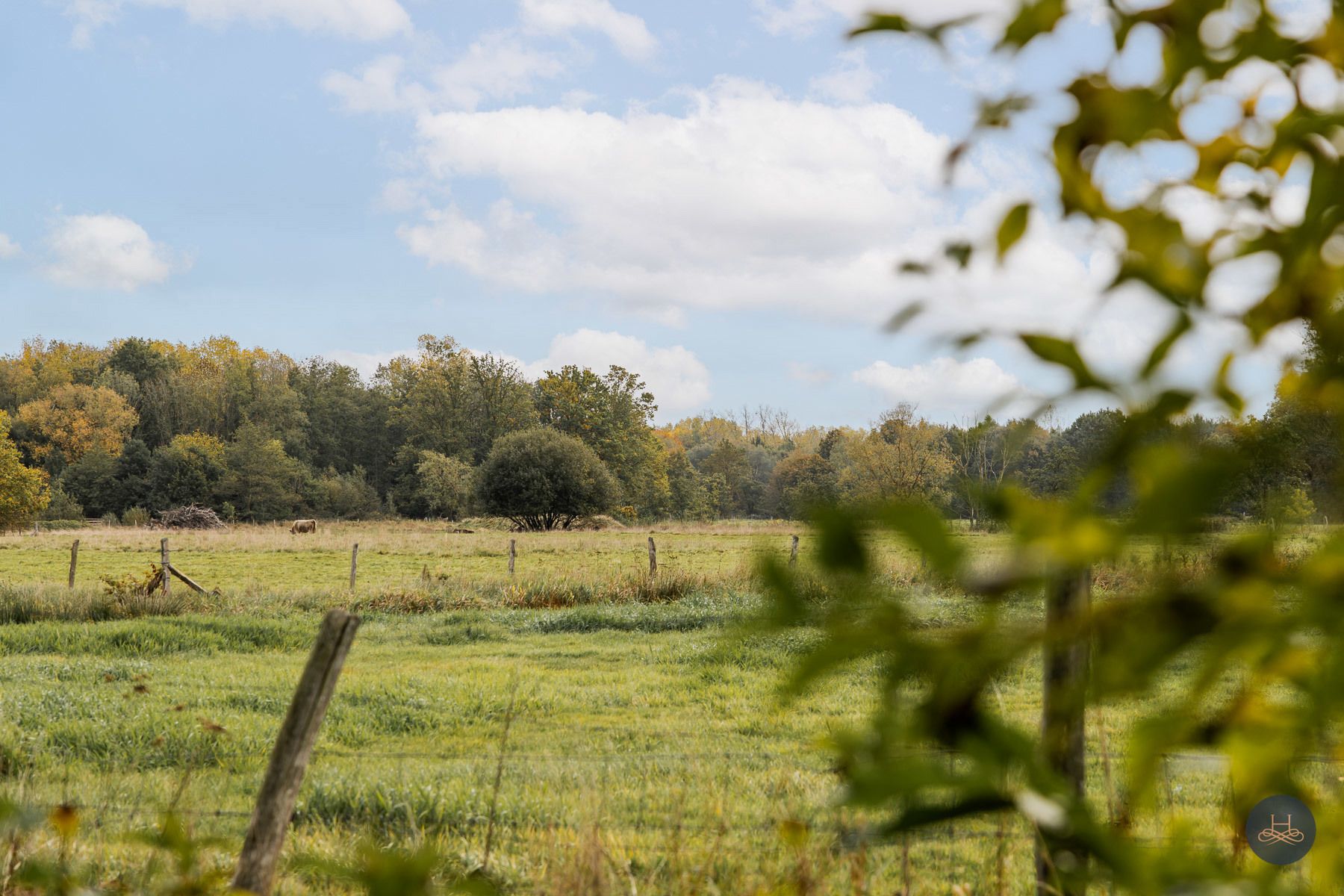 Groen, rustig gelegen woning op 1.71 ha tussen de weilanden foto 9