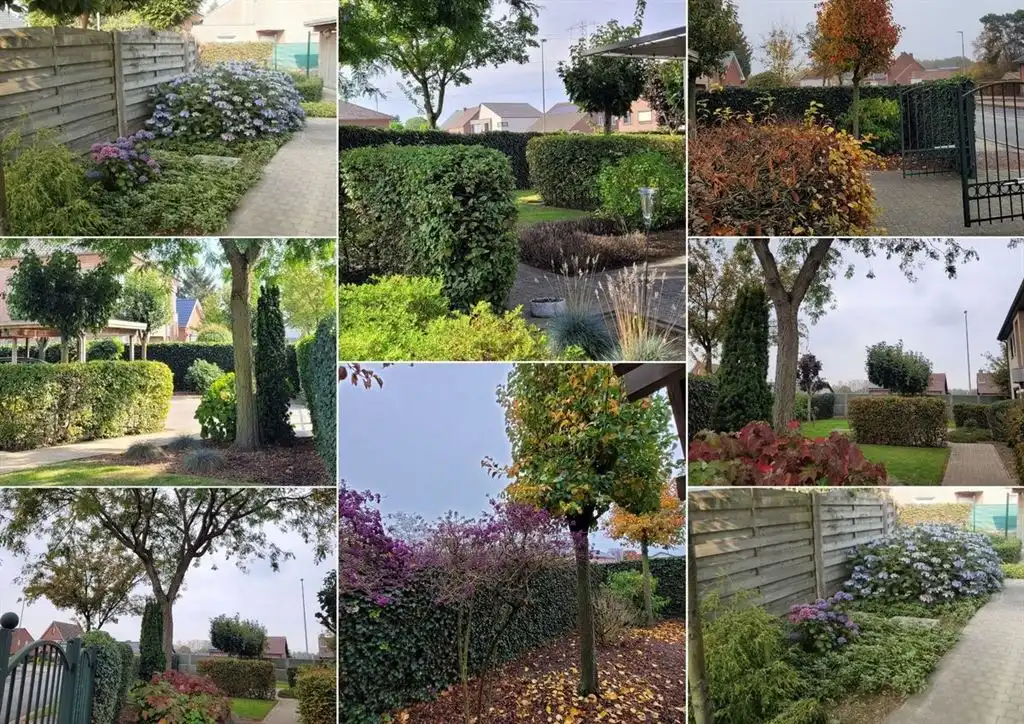 Ruime vrijstaande en instapklare woning in hedendaagse stijl foto 11