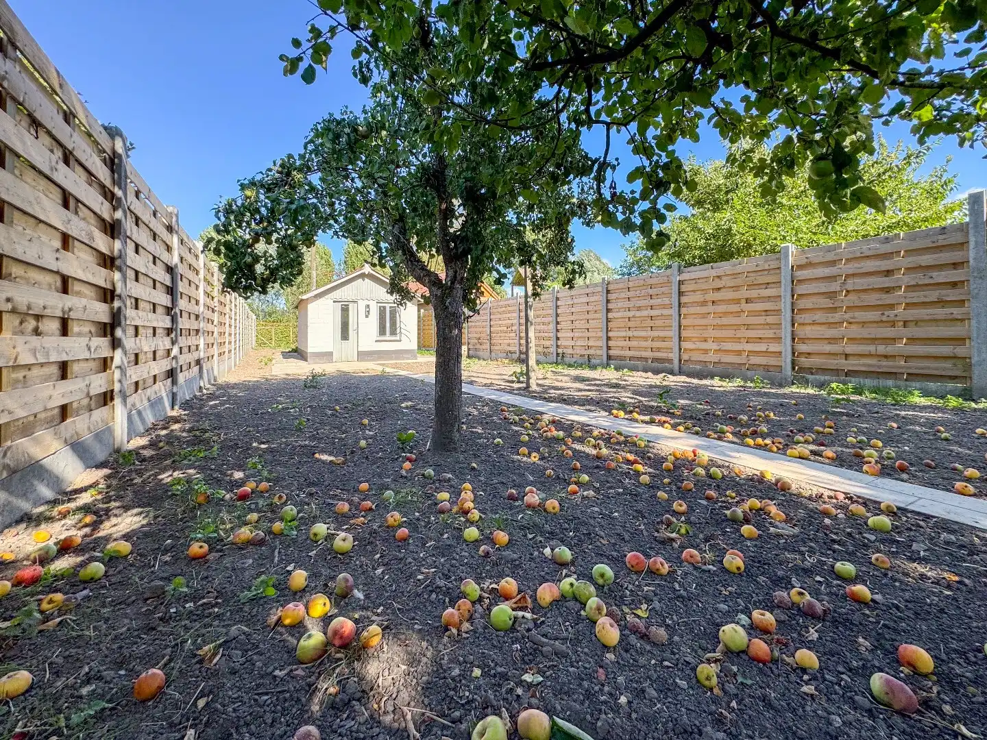 Prachtig gerenoveerde woning met 3 slaapkamers en tuin. foto 23