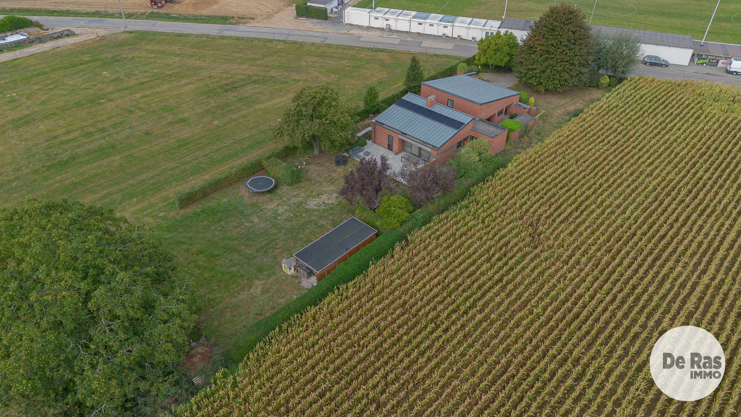 SINT-ANTELINKS - Leuke open bebouwing met zicht op het groen foto 29
