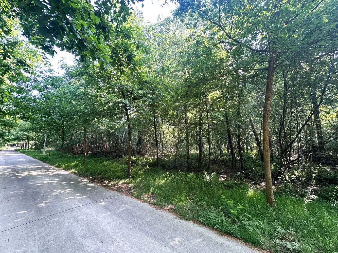 Unieke bouwgrond (5.150m²) omringd door groen & privacy in de Zeurt te Schoten! foto {{pictureIndex}}