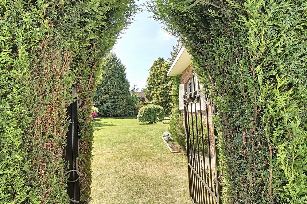 Villa te huur foto 33