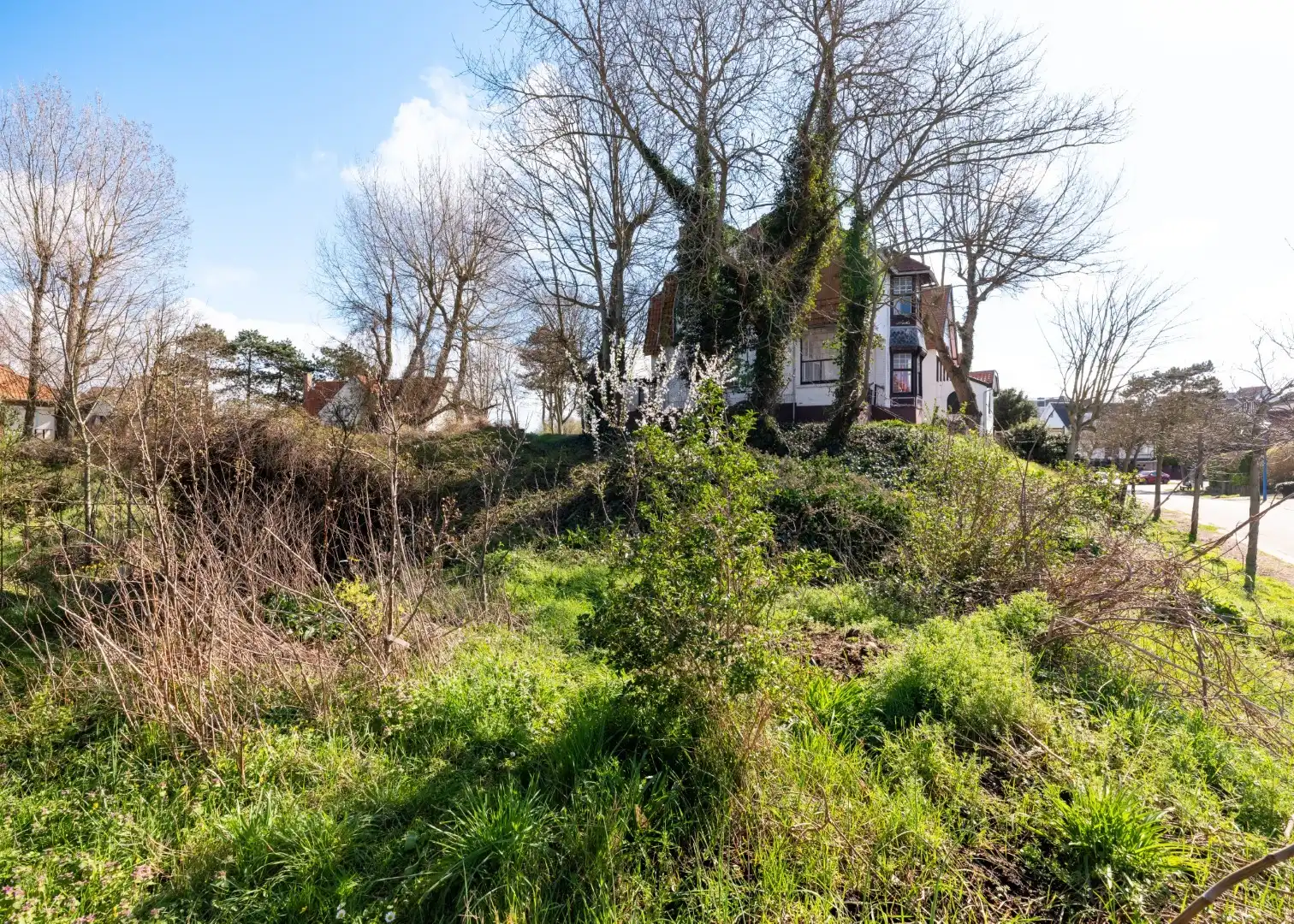 Bouwgrond Bauwenslaan foto 3