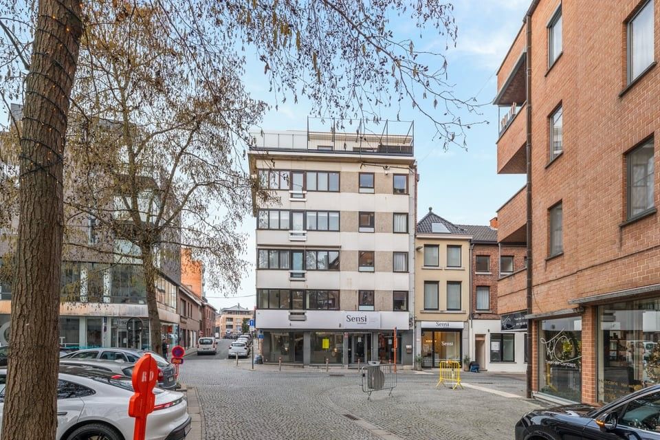 MOOI DAKAPPARTEMENT MET UNIEK TERRAS IN SINT-TRUIDEN foto 2