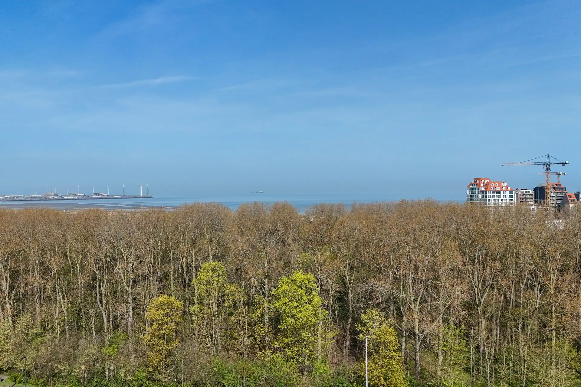 Ruim wonen met tuin en uitweg nabij het strand foto 24