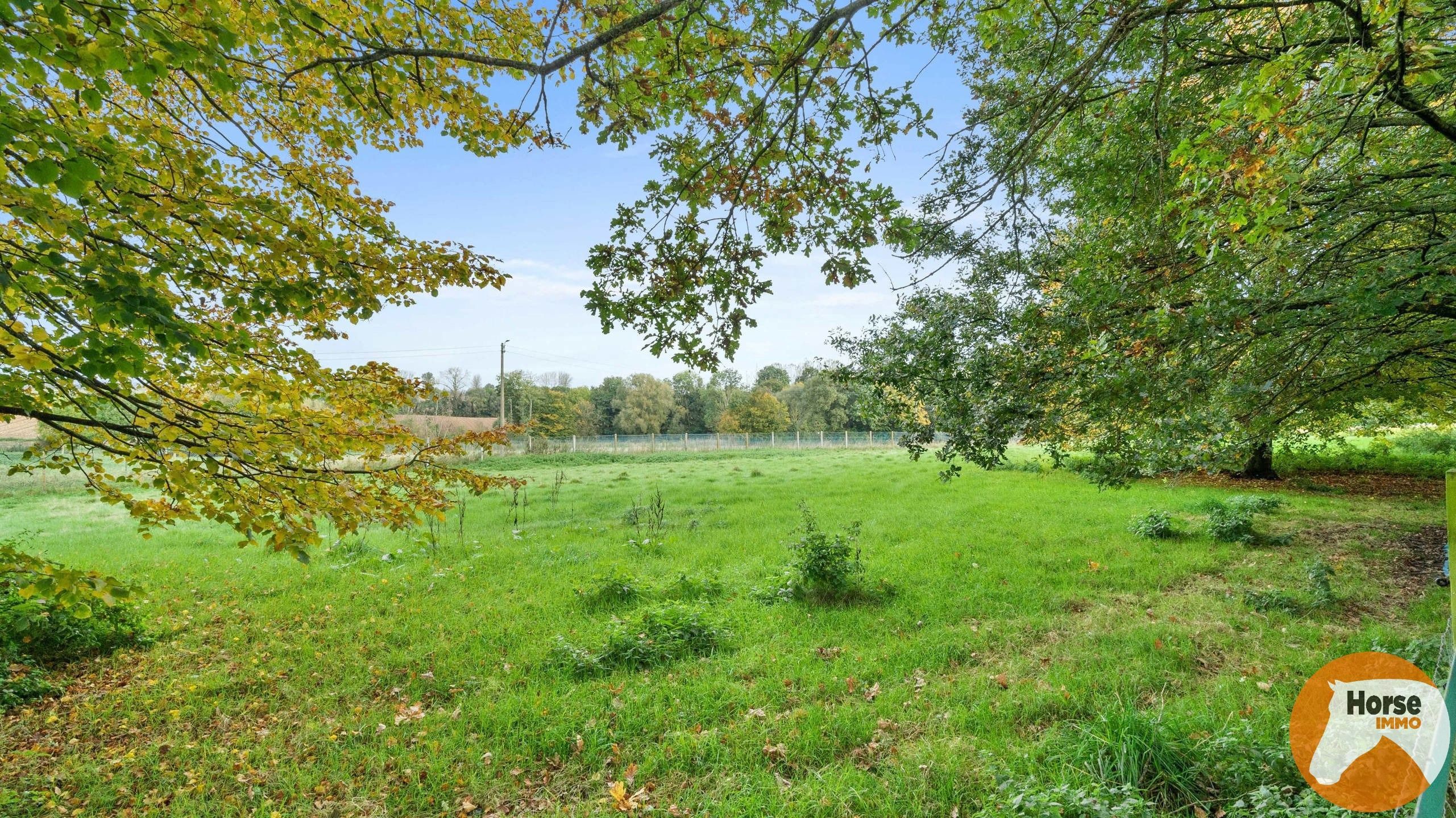 ELINGEN – Veelzijdige vierkantshoeve met ruime schuur foto 34