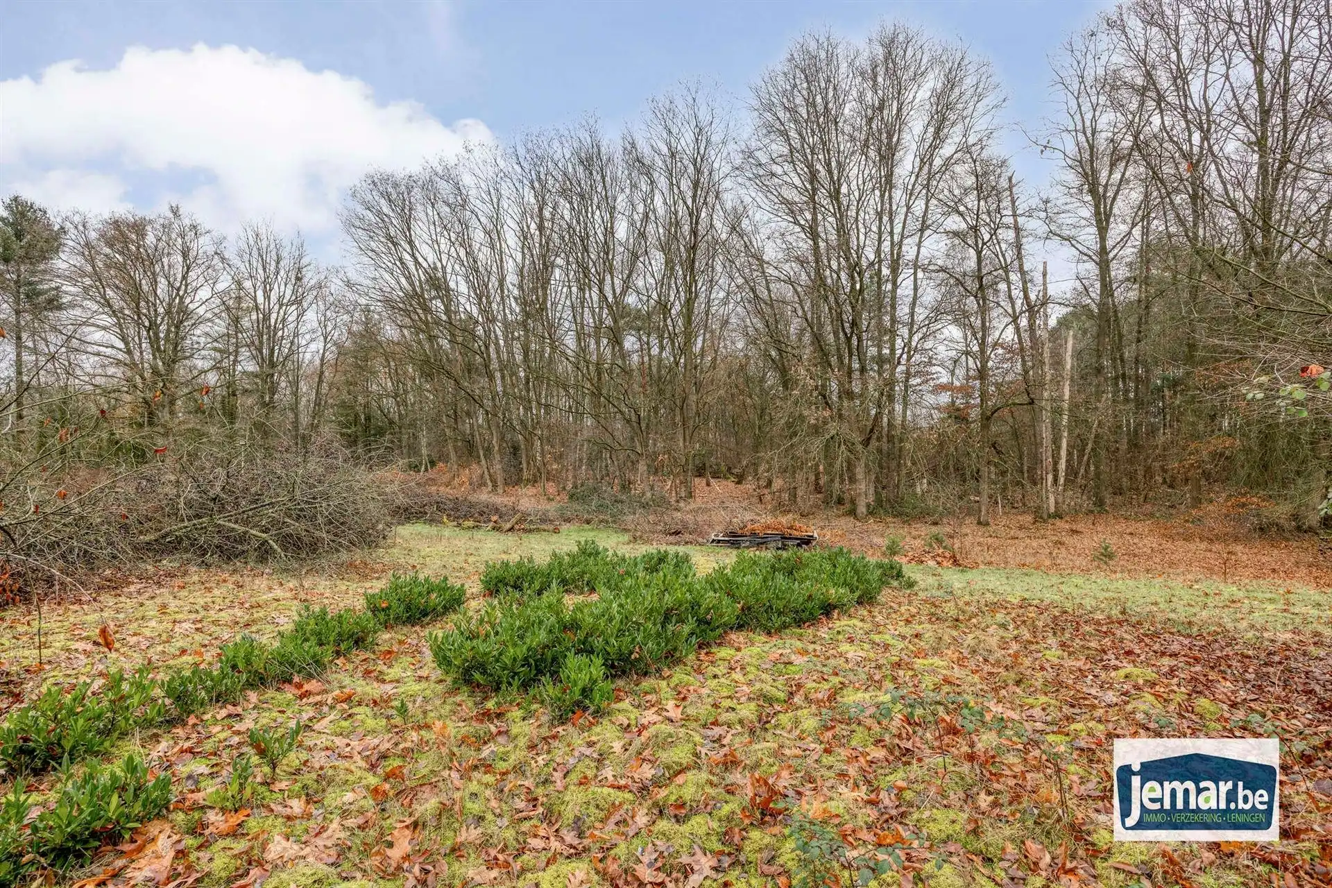 Villa met professionele opslagruimte, kelder en kantoorruimtes. foto 65