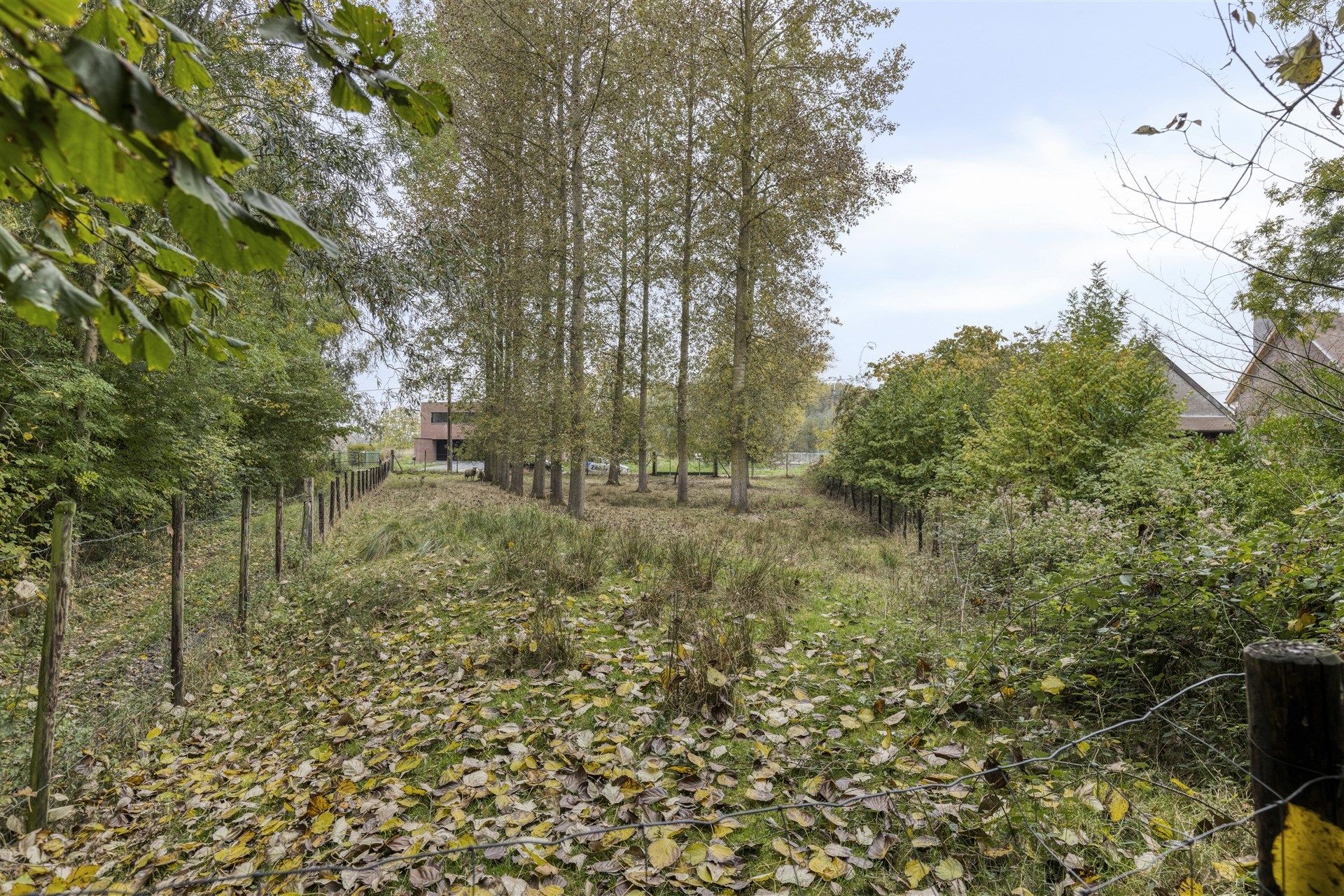 Luxueuze woning met riante tuin te Sint-Lievens-Houtem foto 35