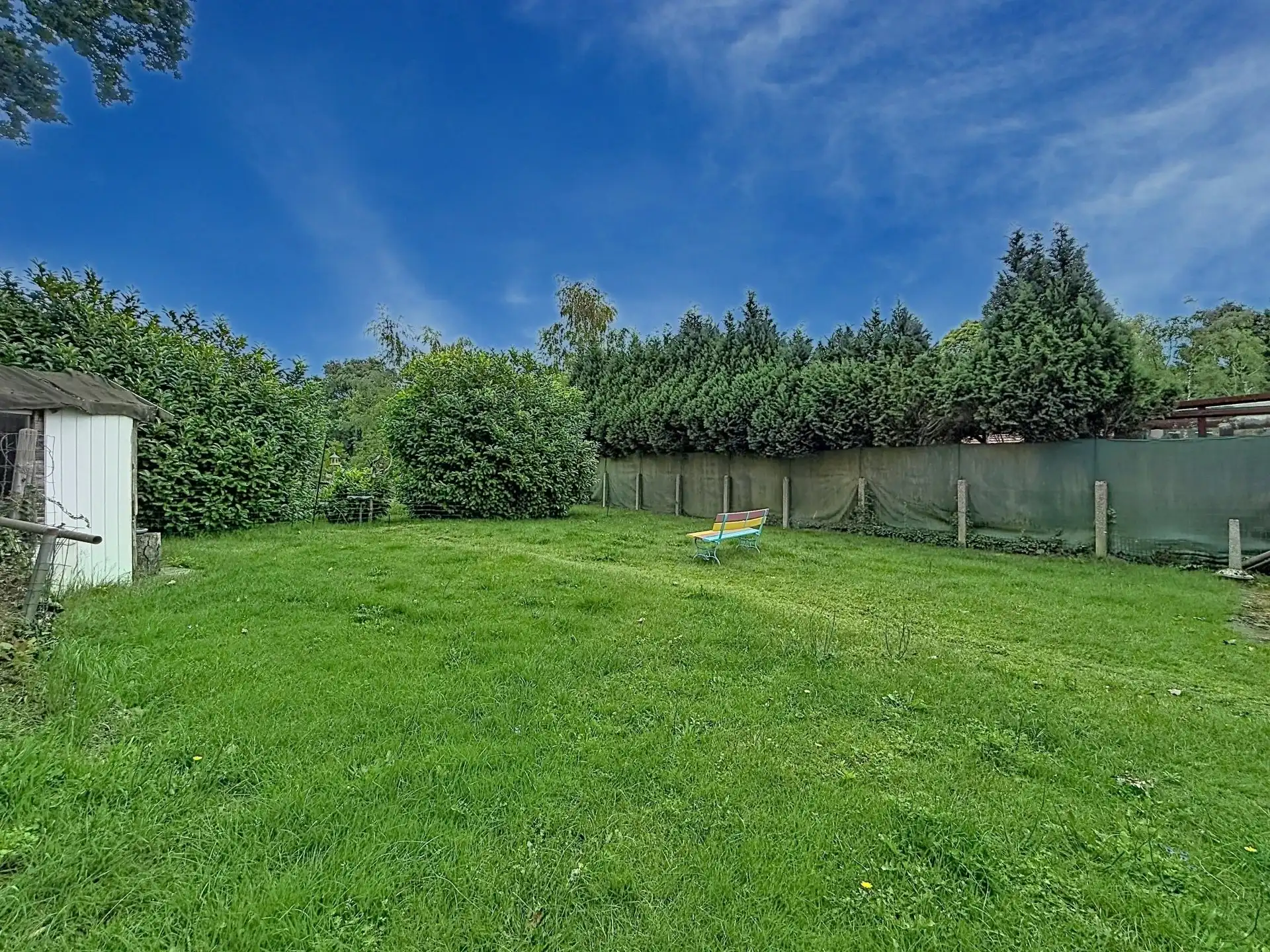 Gelijkvloerse woning op een perceel van 955 m², grenzend aan natuurgebied in Balen. foto 11