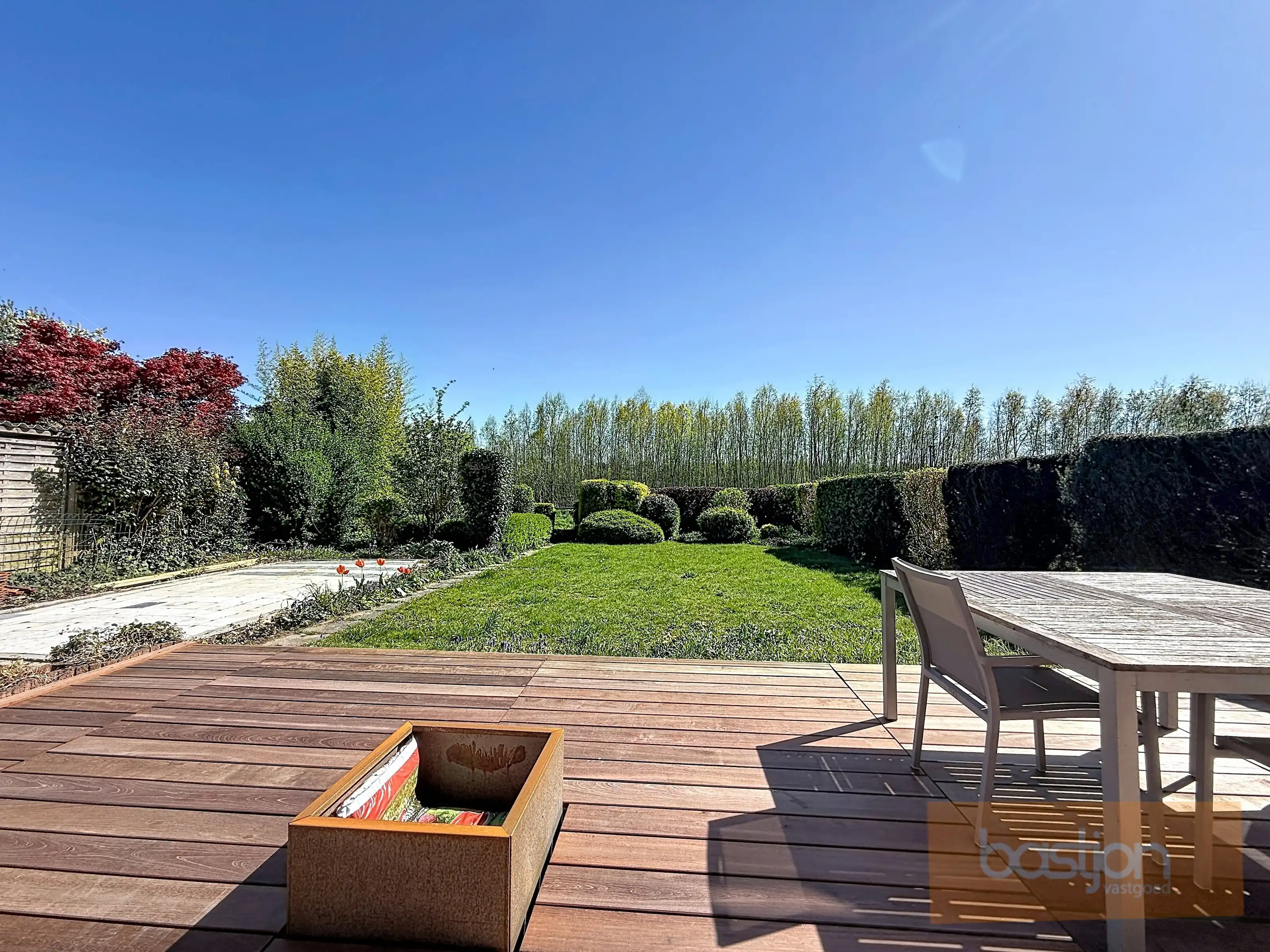 Volledig gerenoveerde, lichtrijke woning met uitzicht op het Preshoekbos foto 13