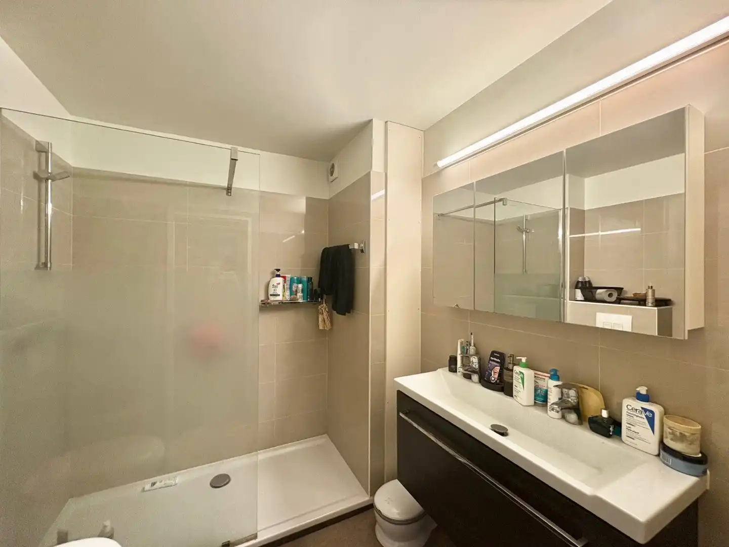 Ruim 2-slaapkamerappartement met uniek zicht op het Stadspark foto 10