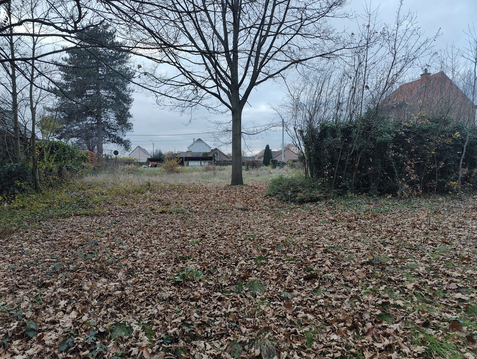 Zeer interessante bouwgrond op toplocatie foto 9