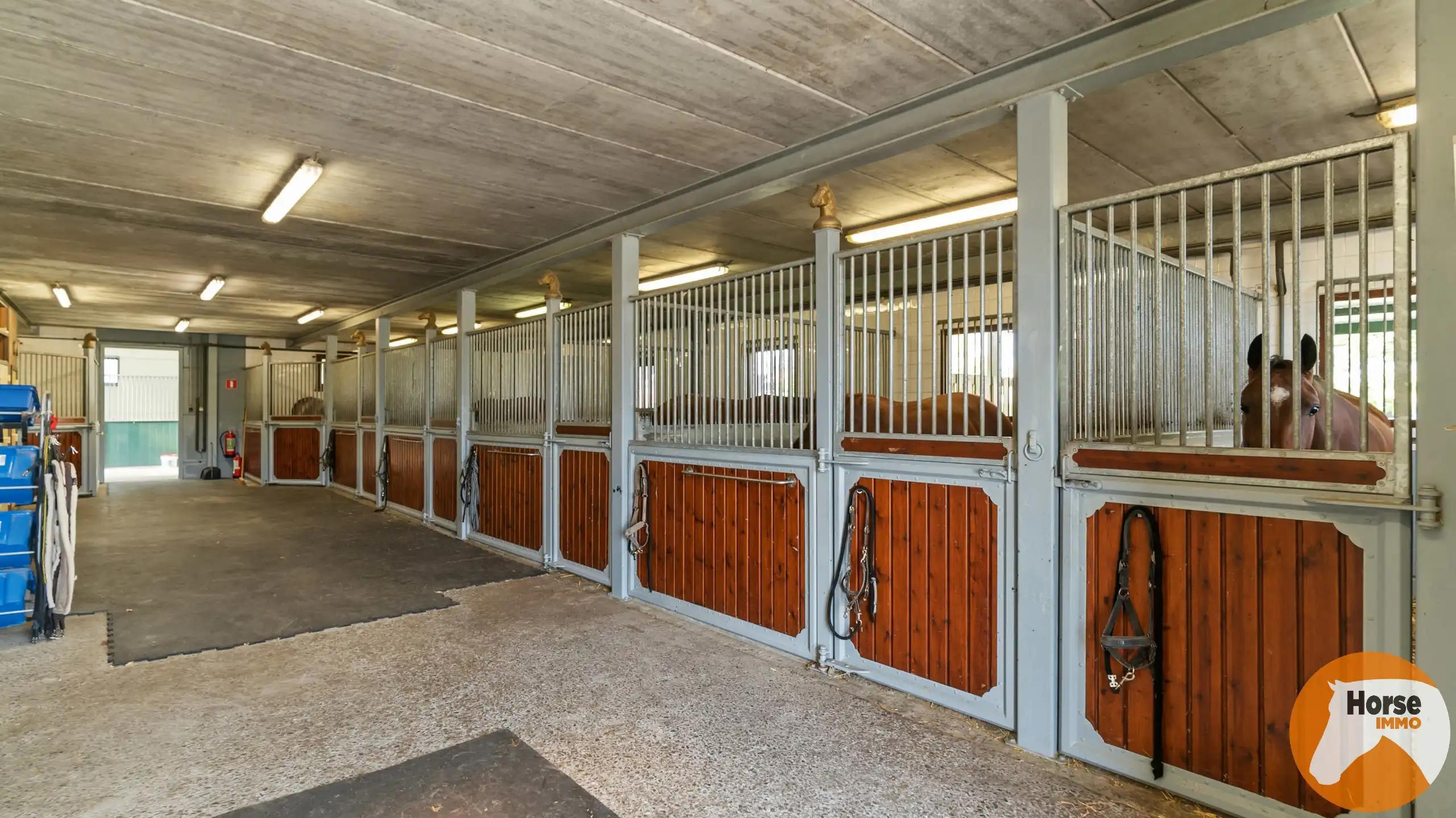 MECHELEN - Exclusieve hippische accommodatie op +/- 4,4ha  foto 17