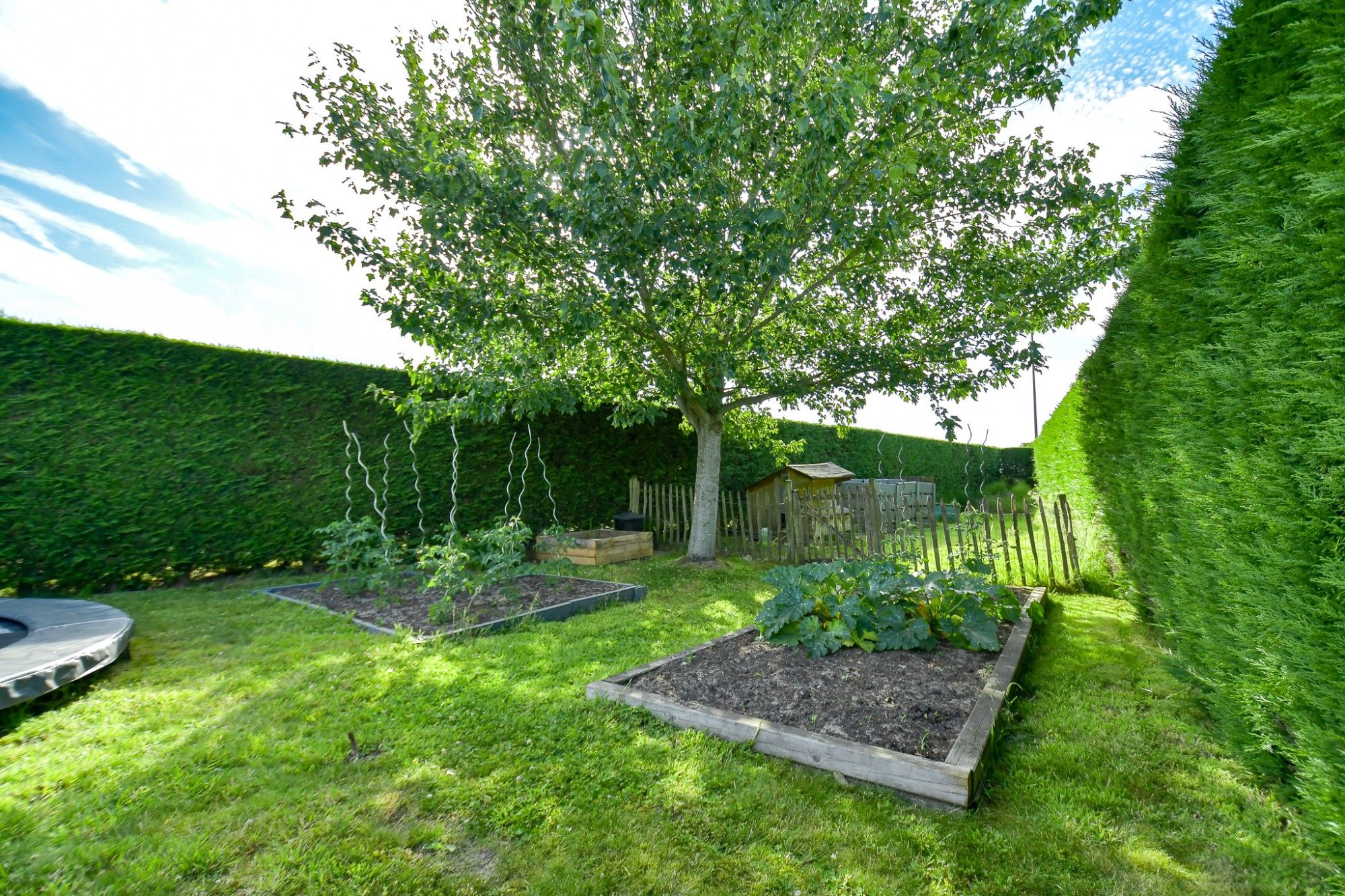 Trendy vernieuwde woning met uitbouw en grote tuin op uiterst rustige, doch centrale ligging. foto 24