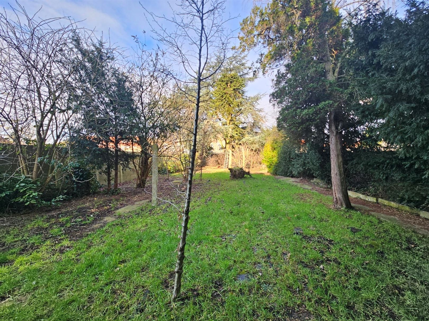 Te renoveren handelspand met woning foto 3