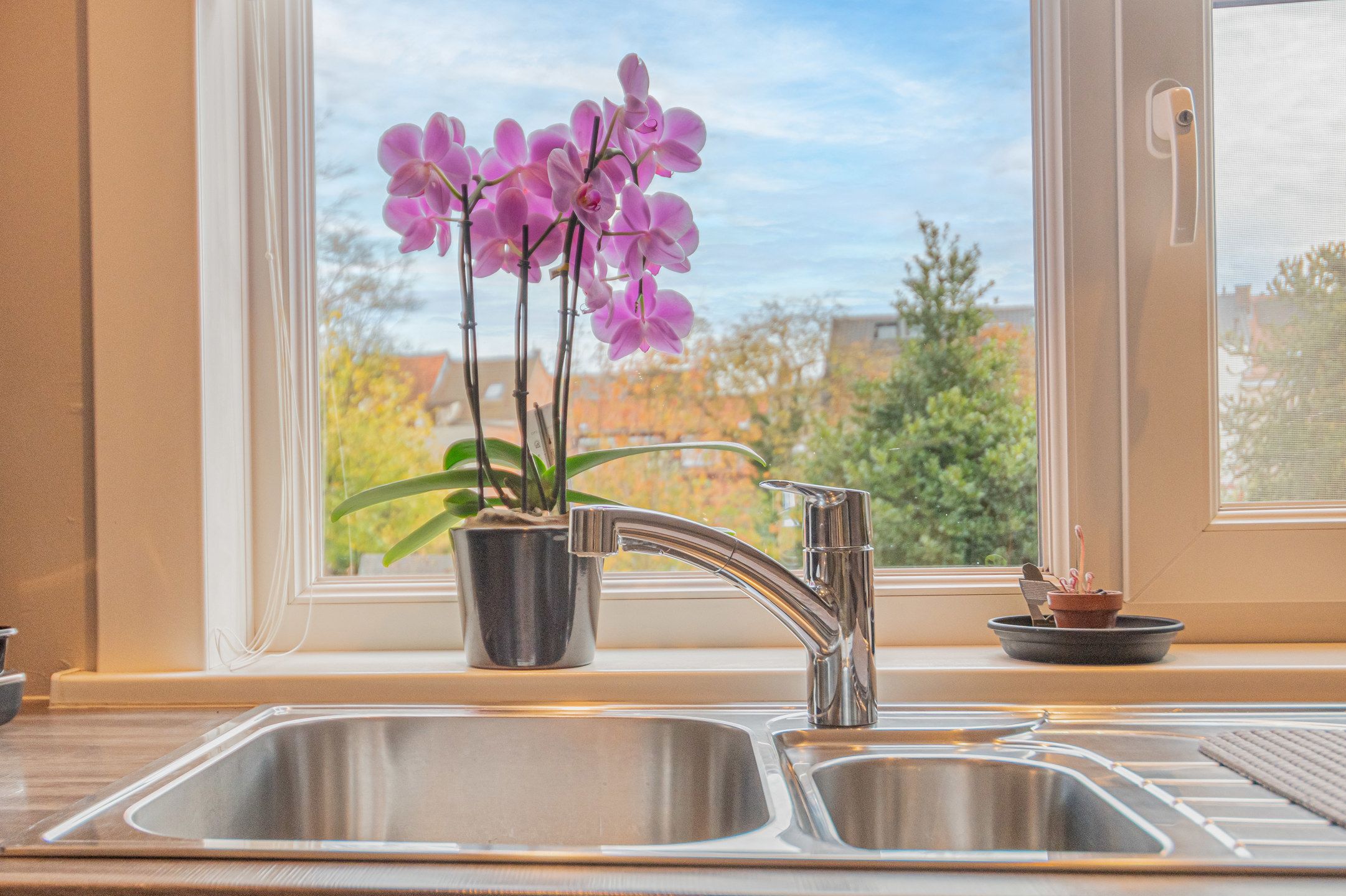 Instapklare woning in groene omgeving nabij Steytelinckpark foto 7