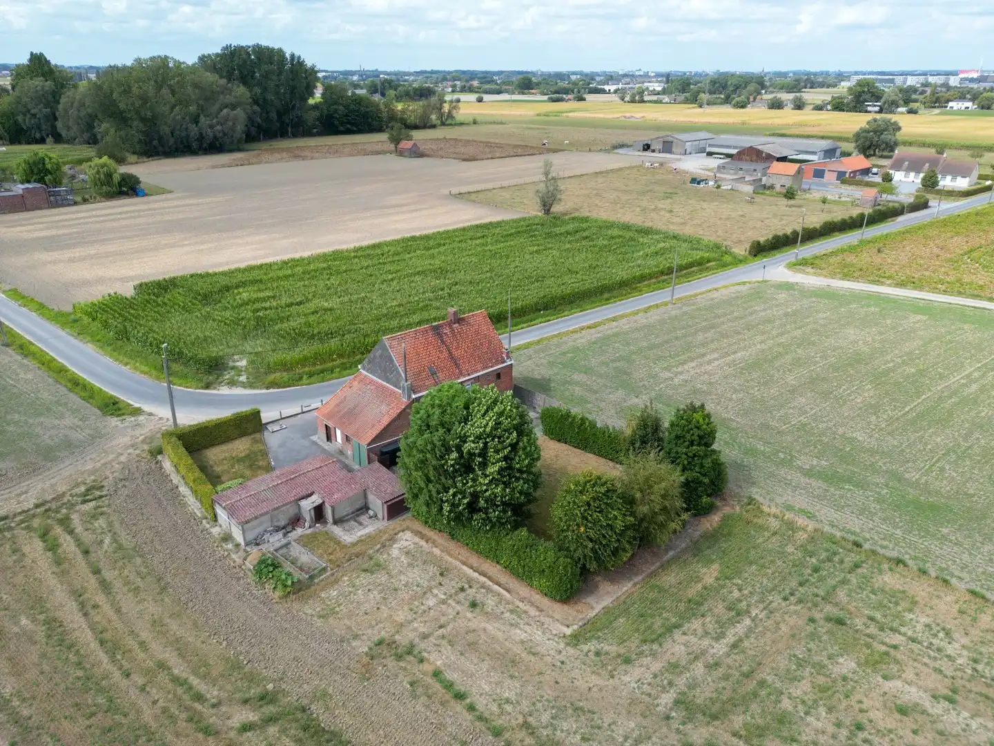 Landelijke woning/bouwgrond met verzichten - Oekene foto 10