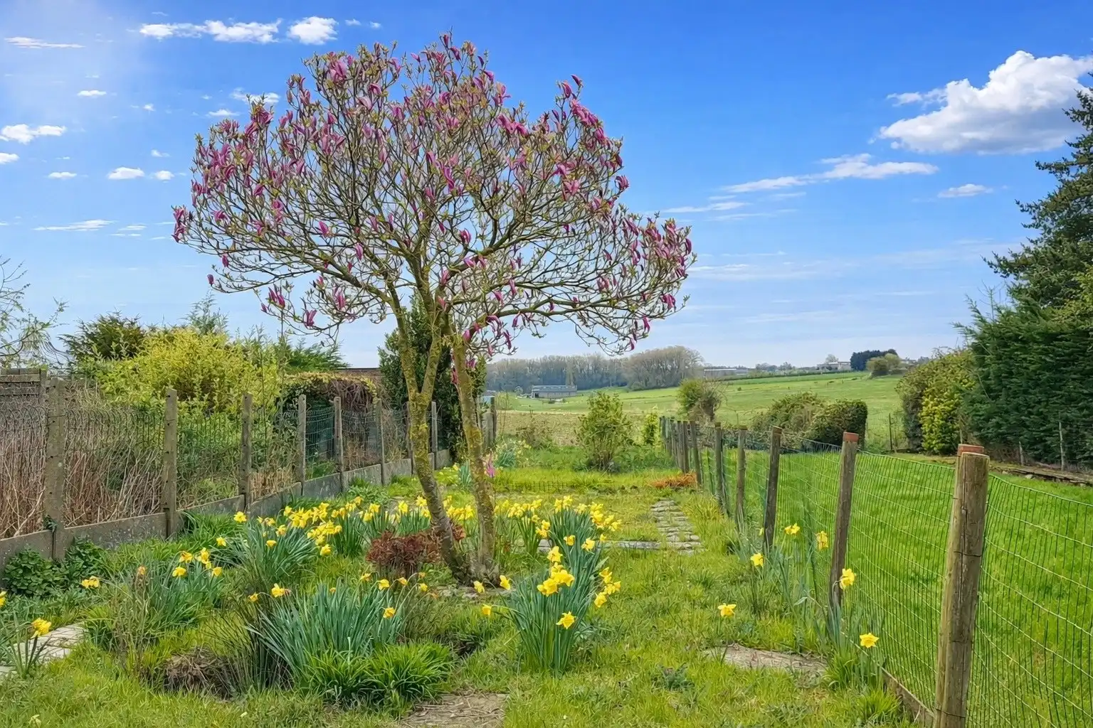 Zeer rustig gelegen & volledig vernieuwde woning te koop in het prachtige Heuvelland foto 19