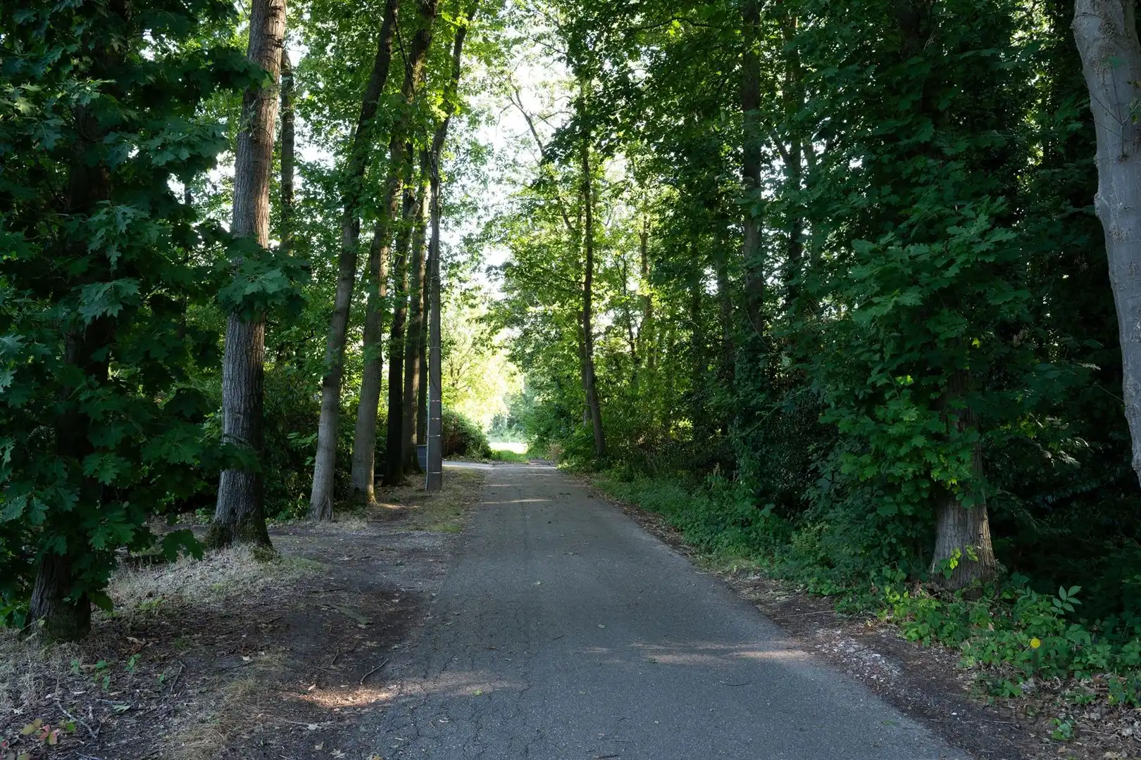 Rustig gelegen bouwgrond van 1.035 m² in het groene Voorkensheide! foto 5