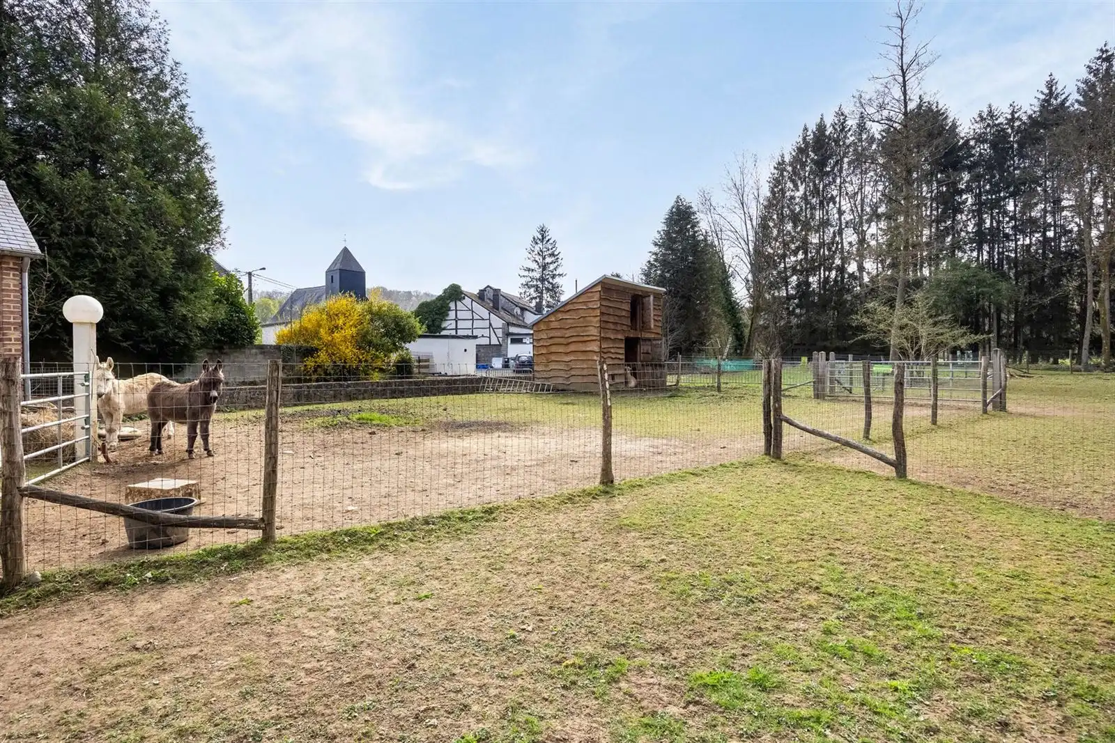 Ruime opbrengsteigendom te koop in Durbuy foto 50