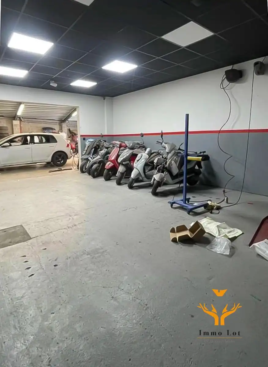 Woning met toonzaal, magazijn en garages te Hamme foto 25