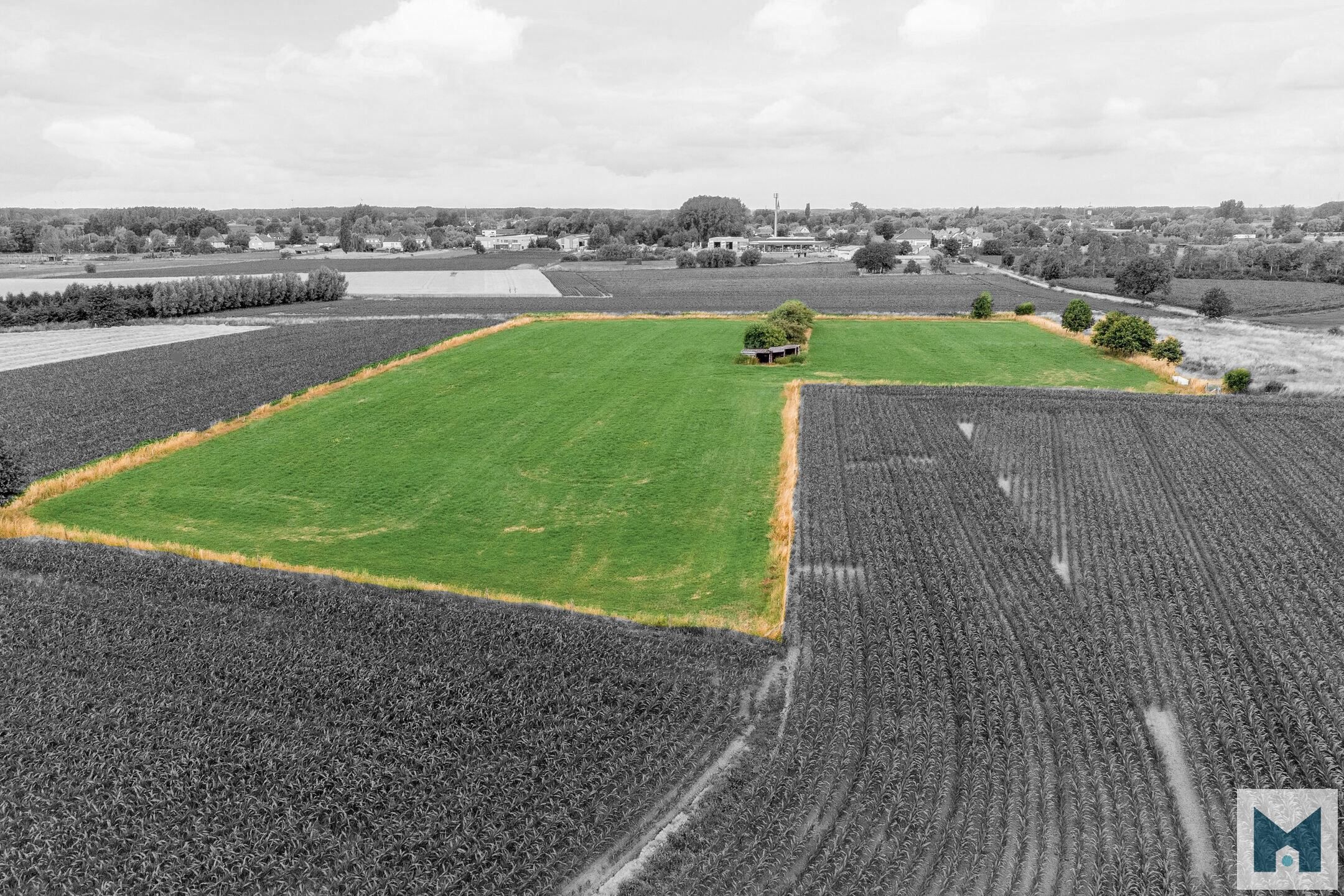Prachtig weiland van maar liefst 1,864 hectare!  foto 4