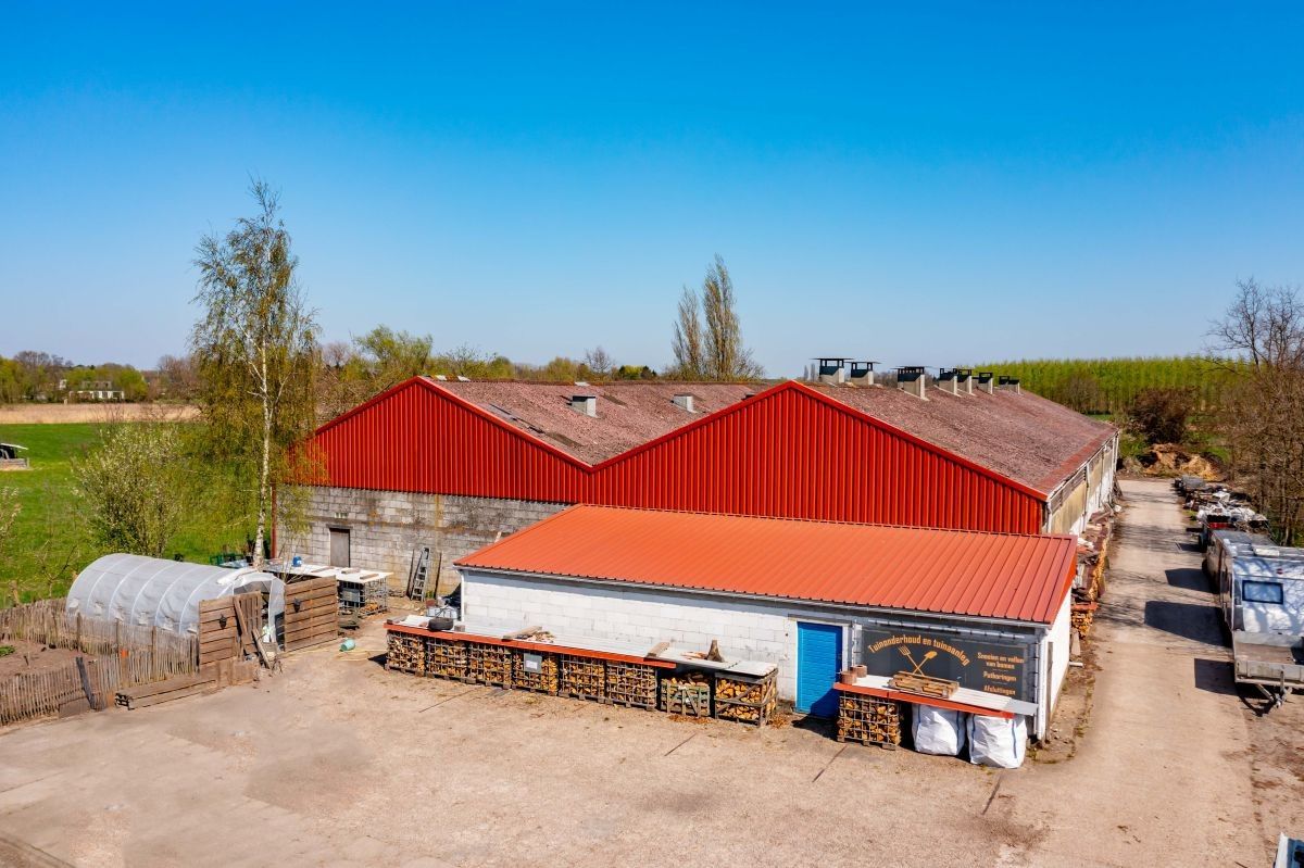 Hoeve met woning, ruime stallen en aanpalende grond te koop te Stekene. foto 5