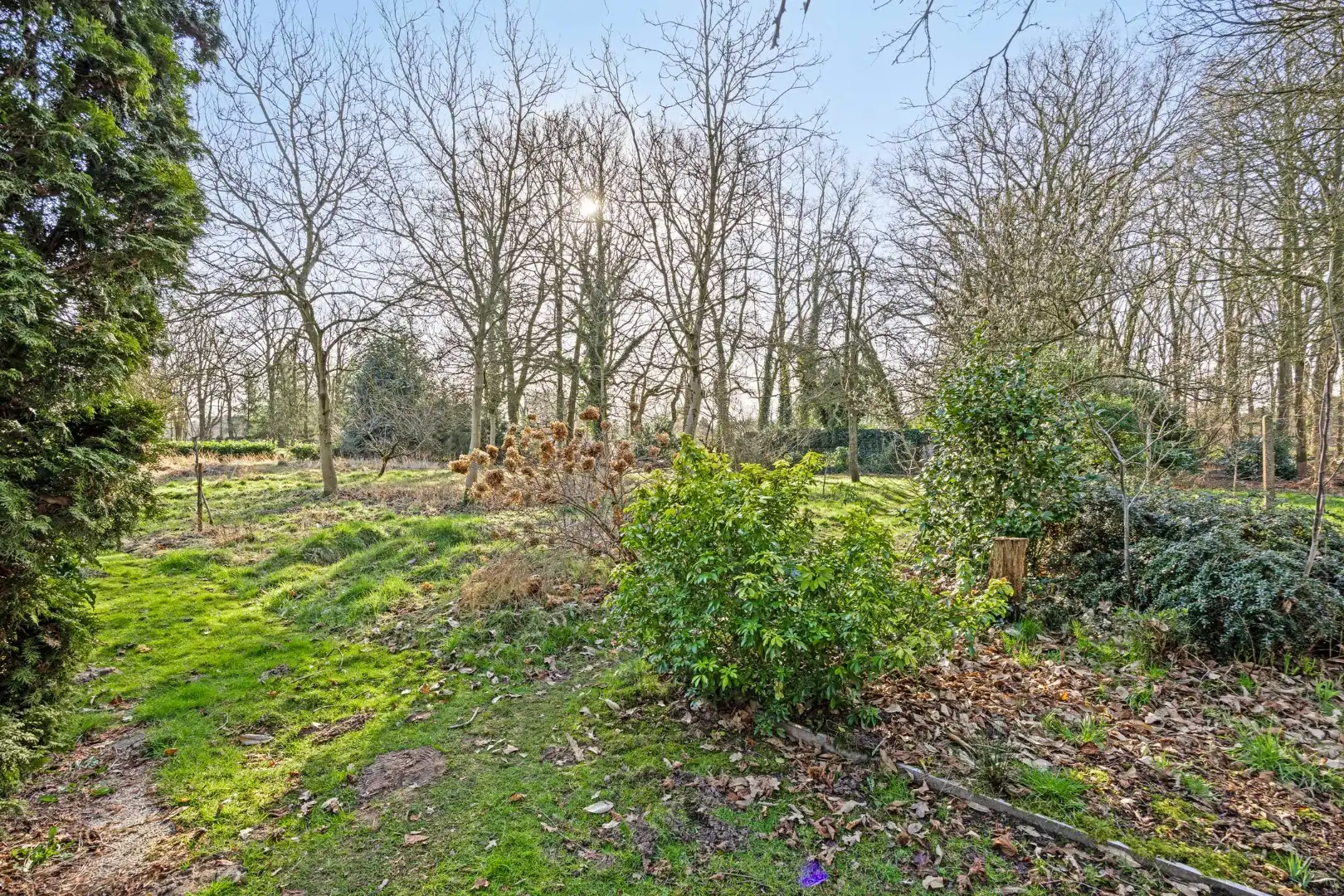 Unieke woonst op 13 hectare: rust, natuur en eindeloze mogelijkheden! foto 5