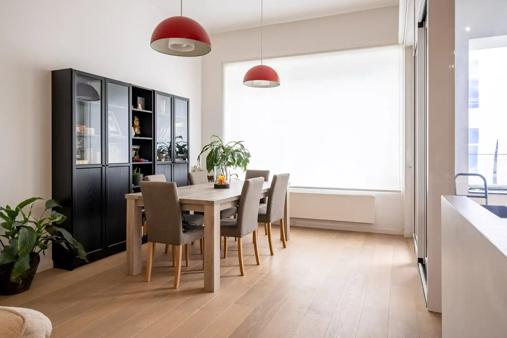 Gemeubeld appartement op het bruisende Zuid ! foto 4