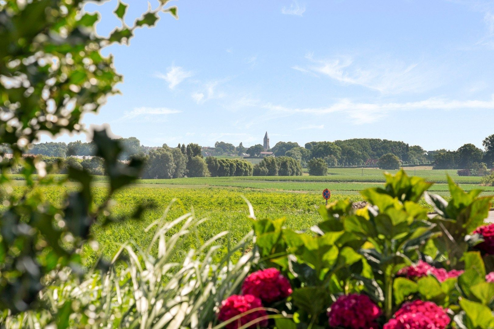 Landelijke woning met 4 slaapkamers, garage en fenomenaal zicht in Passendale foto 3