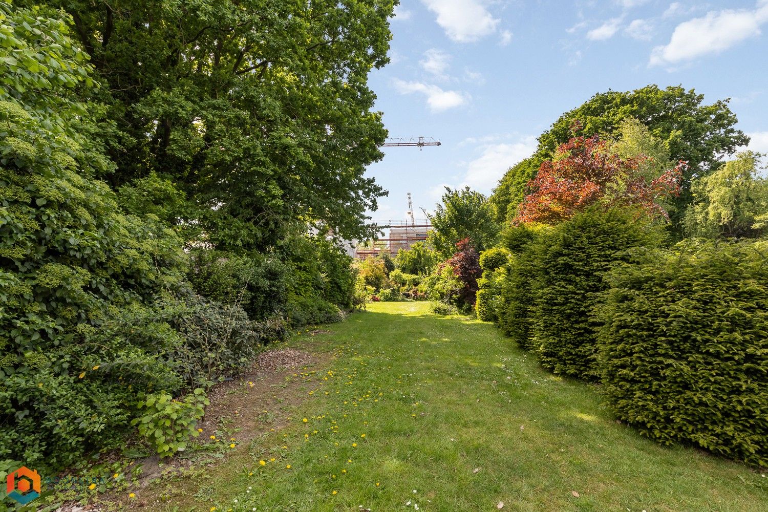 Instapklare woning met 3 slpkrs en tuin met zwembad in Mechelen foto 12
