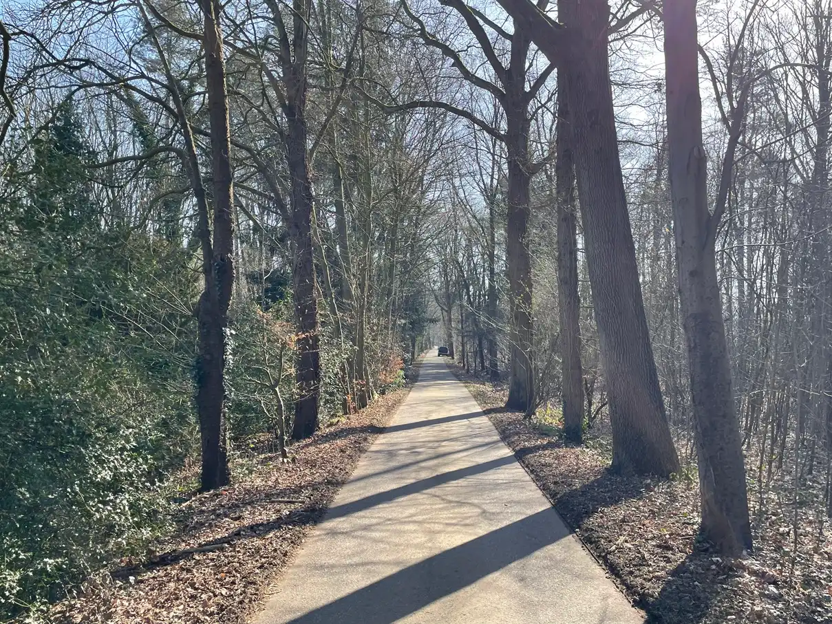 Verblijfsrecreatie met vijver foto 9