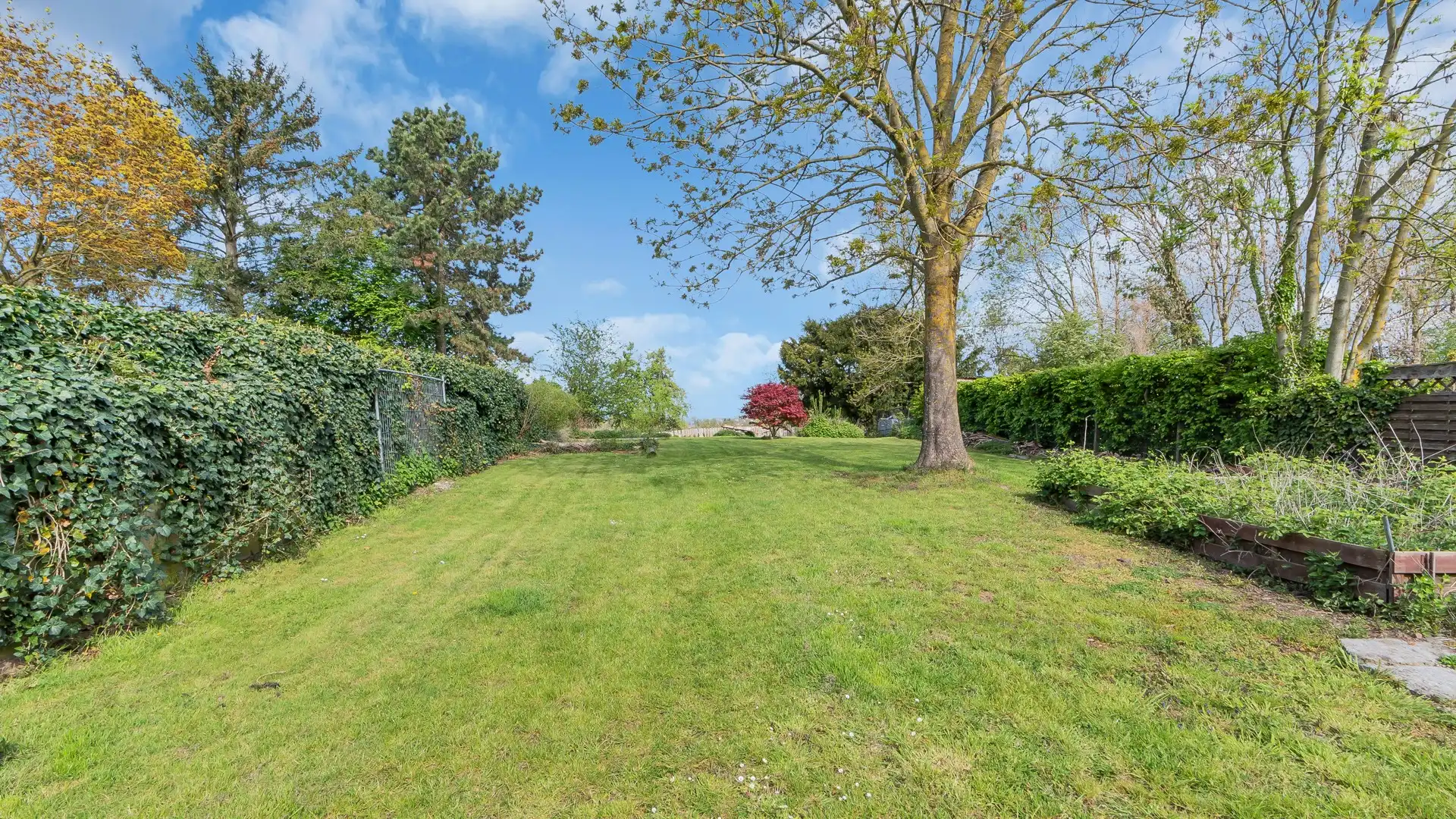 Huis te koop foto 23