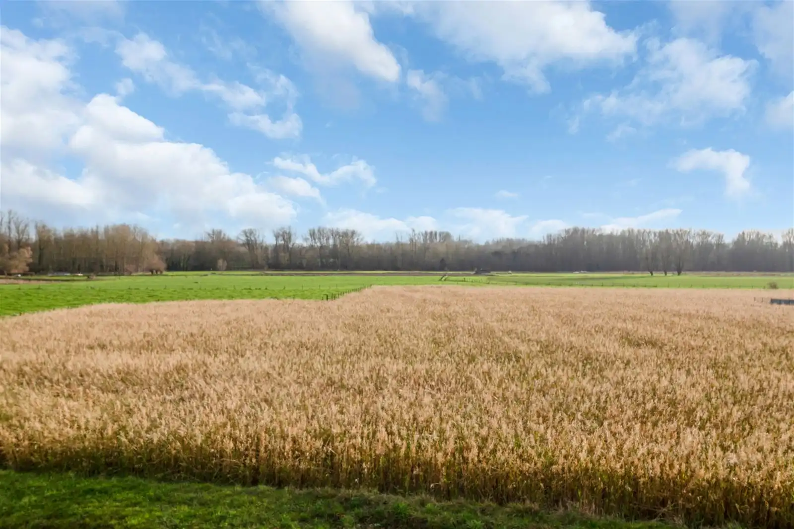 Landelijke woning met eindeloze mogelijkheden! foto 10