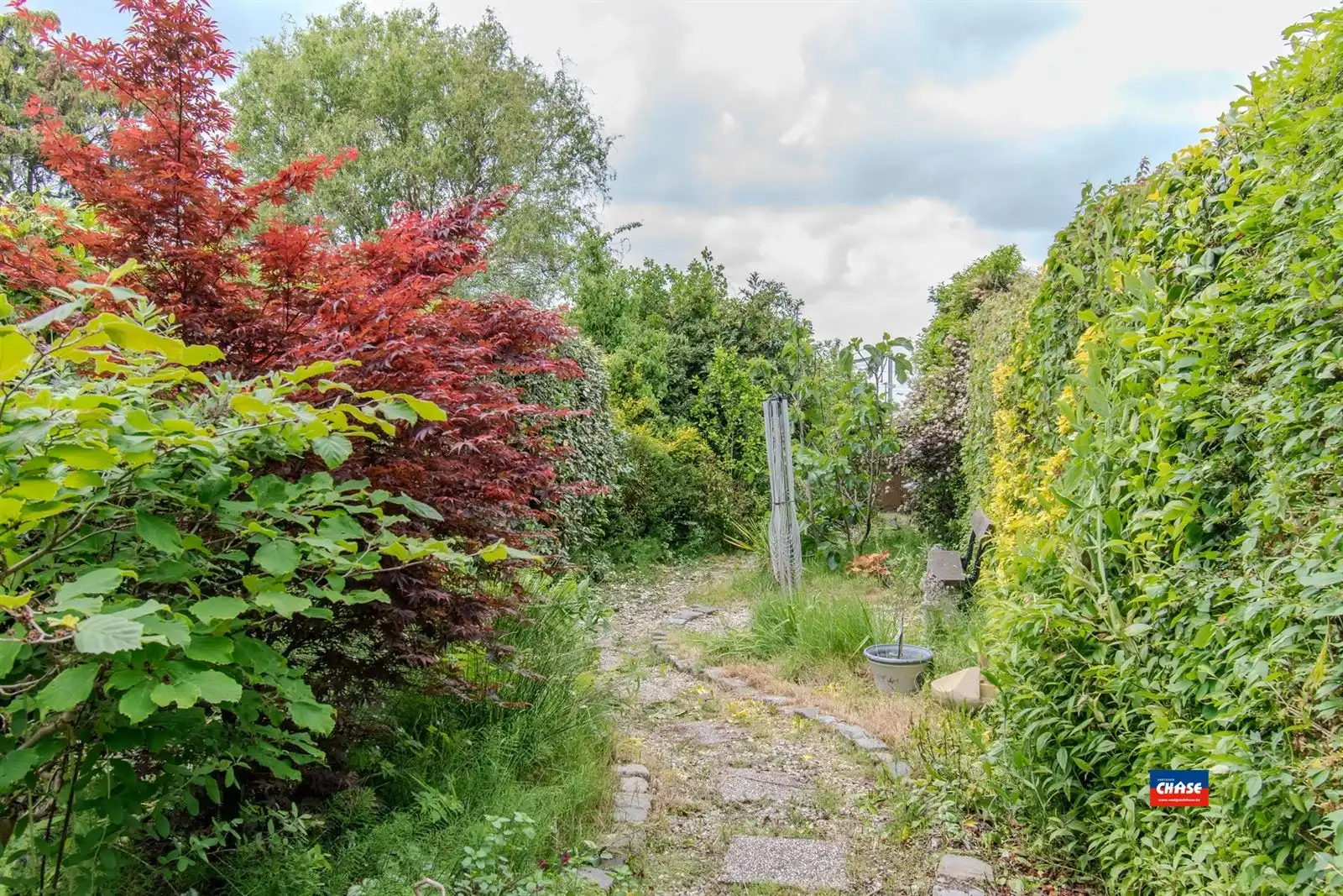 Instapklare Bel-étage met drie slaapkamers en grote tuin foto 11