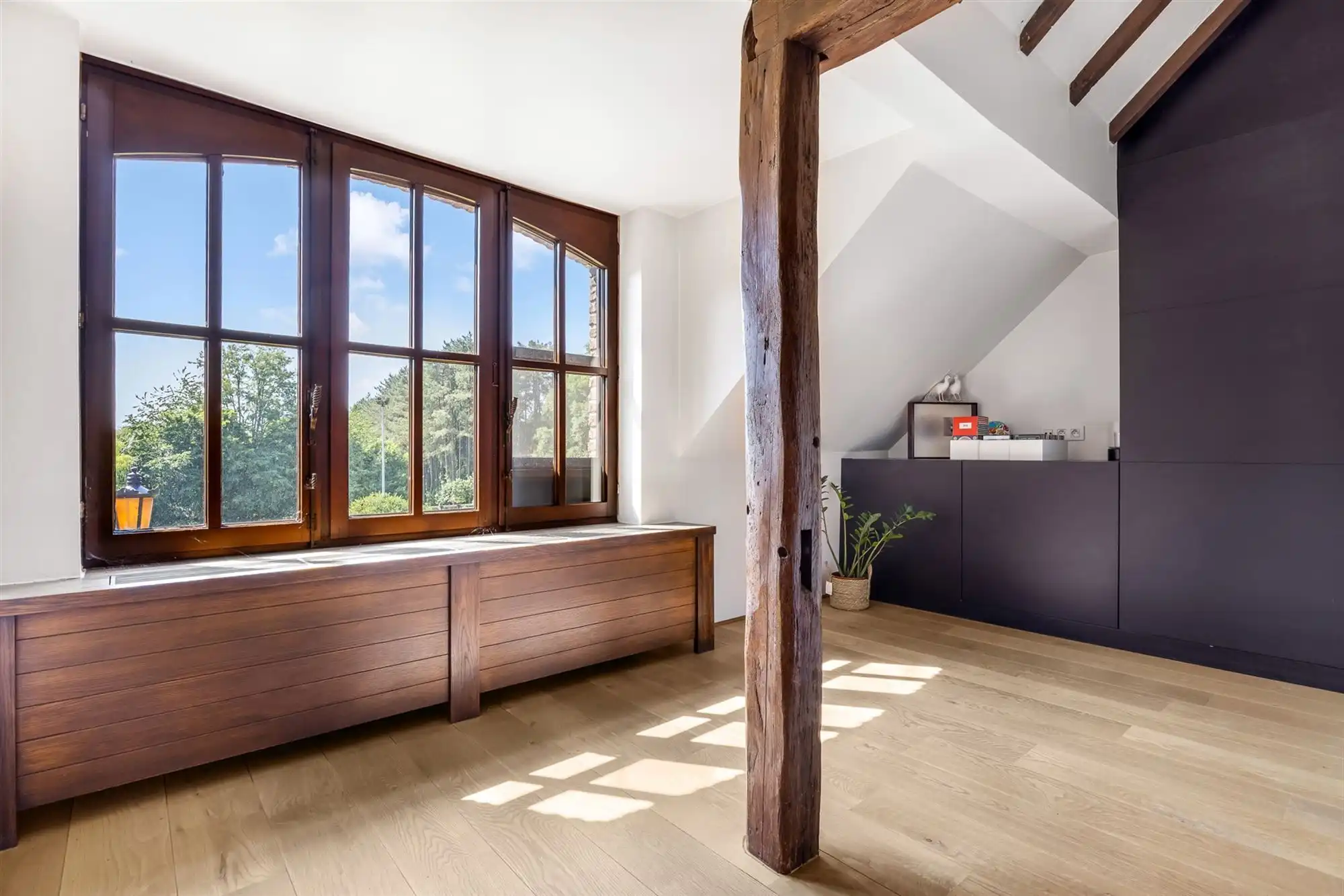 UNIEKE EIGENDOM MET 24 PAARDENSTALLEN EN BINNENPISTE OP CA 10 HECTARE TE PAAL-BERINGEN foto 34