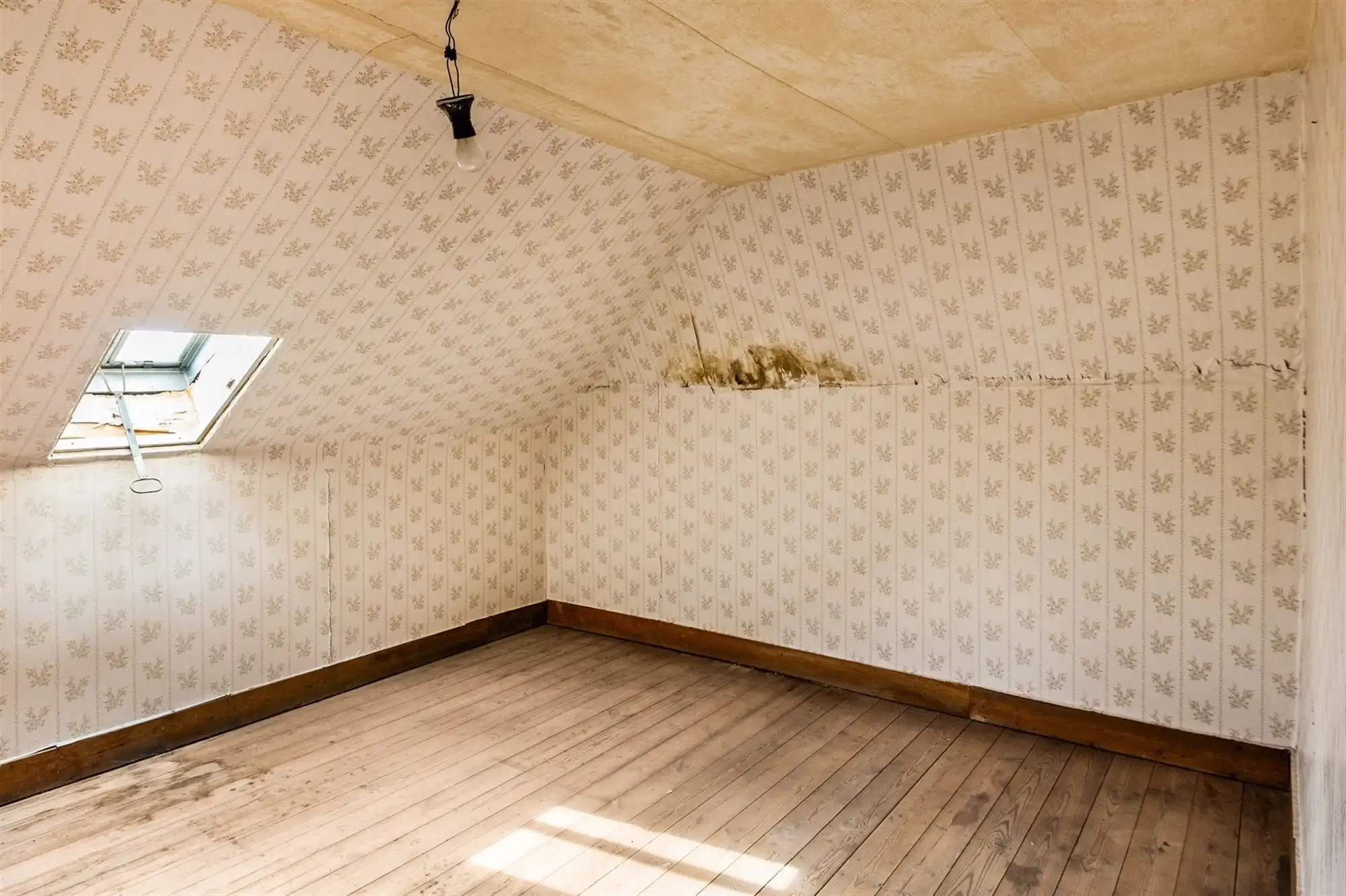 Verrassend ruime, te moderniseren gezinwoning te Onze-Lieve-Vrouw-Waver foto 14