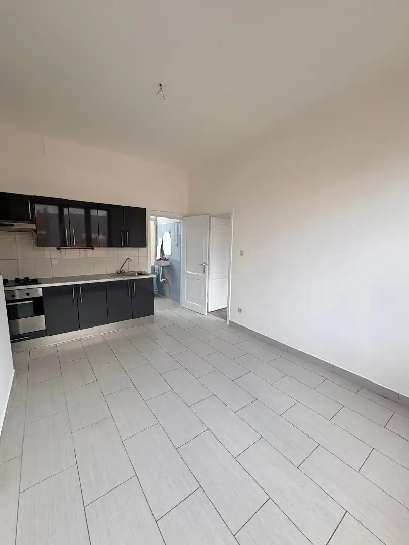 Een geriefelijk appartement met 1 slaapkamer foto 8