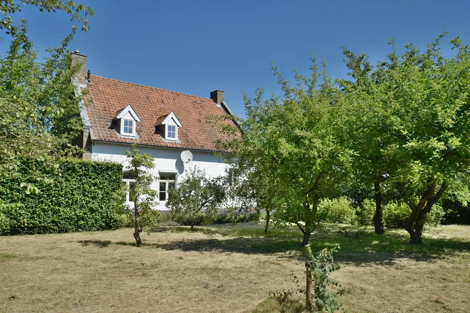 Karaktervolle hoeve met schuur, binnenkoer en prachtige tuin vlakbij Maastricht foto 10