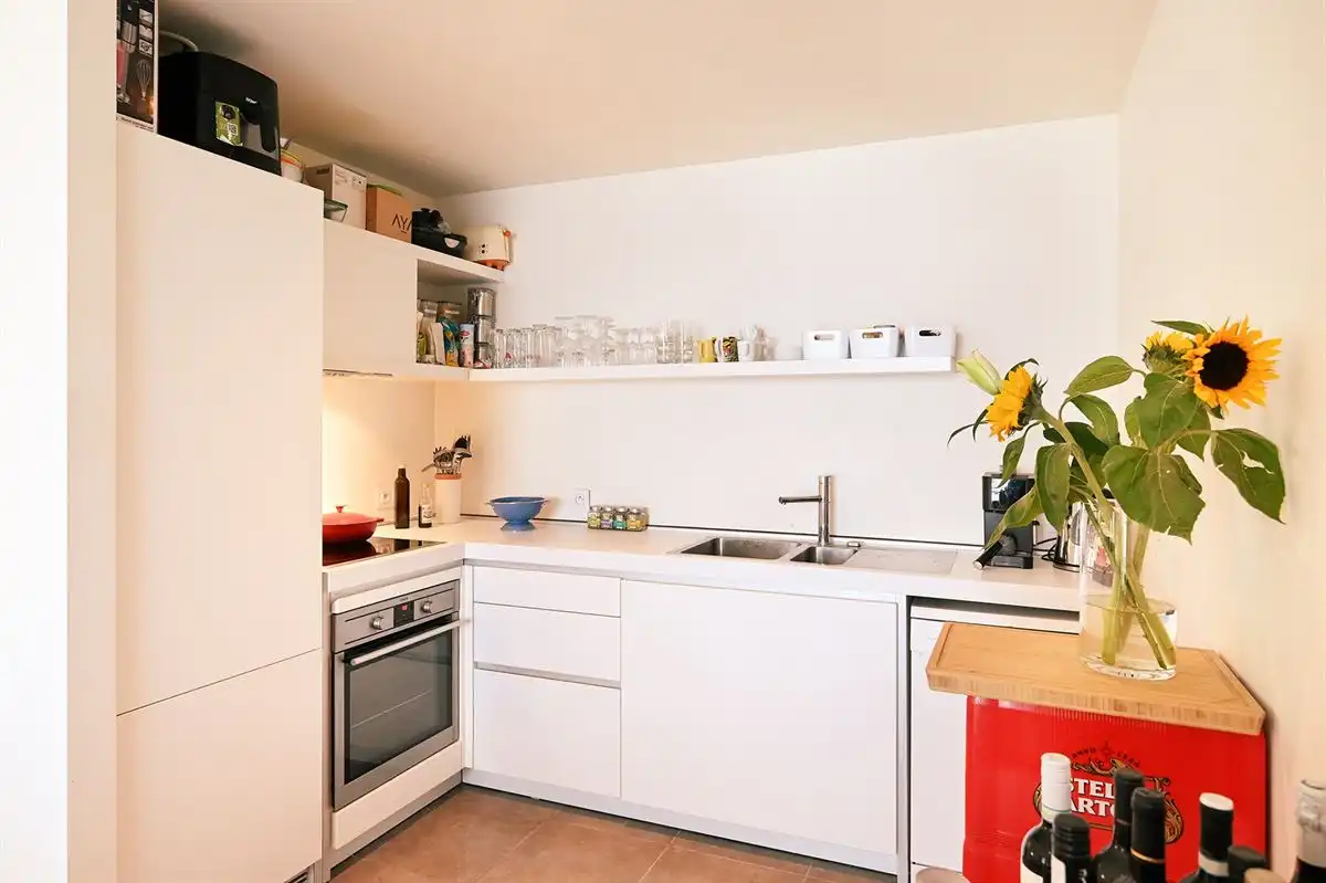 Instapklaar appartement met ruim terras op het Eilandje
 foto 5