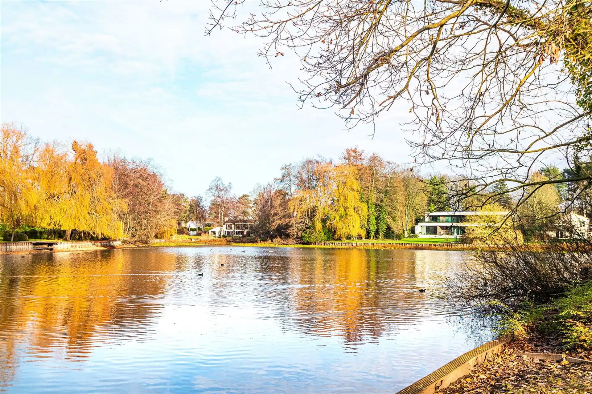 Exclusieve bouwgrond van 4.370 m² in “Golf & Meer”-domein foto 2