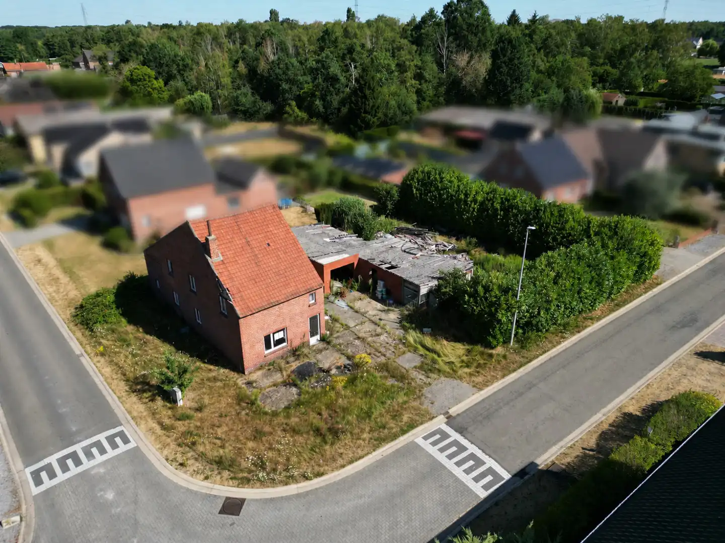 Unieke projectgrond met vergunde ontwikkelingsmogelijkheid foto 2