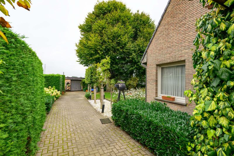 Alleenstaande woning te Dentergem. foto 4