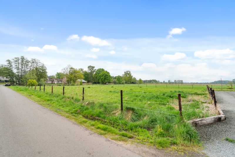 LANDBouwgrond  8462 grondopp - GEEN pacht !!! foto 12